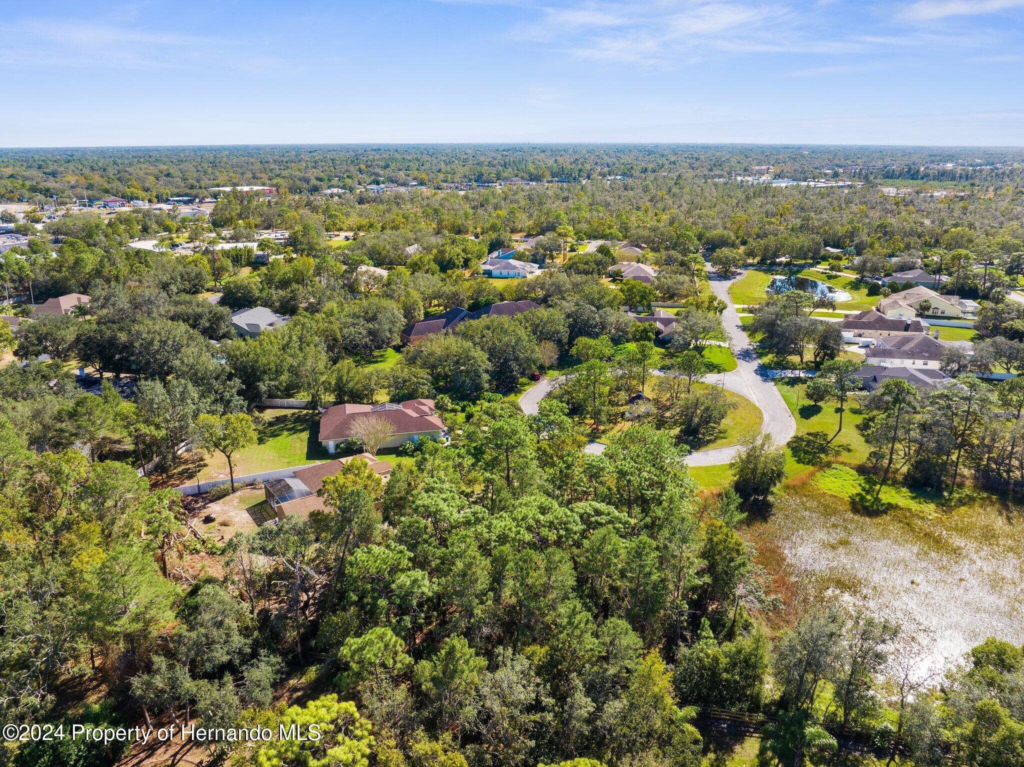 Lordings Lane, Spring Hill, Florida image 6