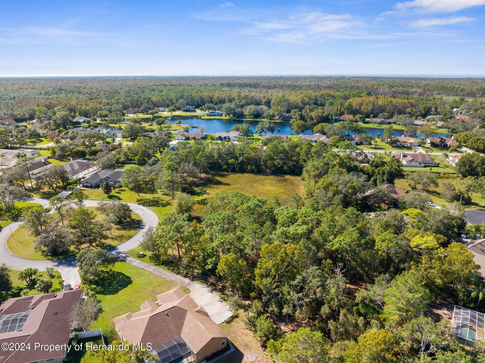 Lordings Lane, Spring Hill, Florida image 7