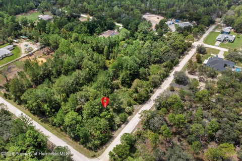 Vacant Land For Sale - Ramsey Road<br/> Weeki Wachee, FL 34614