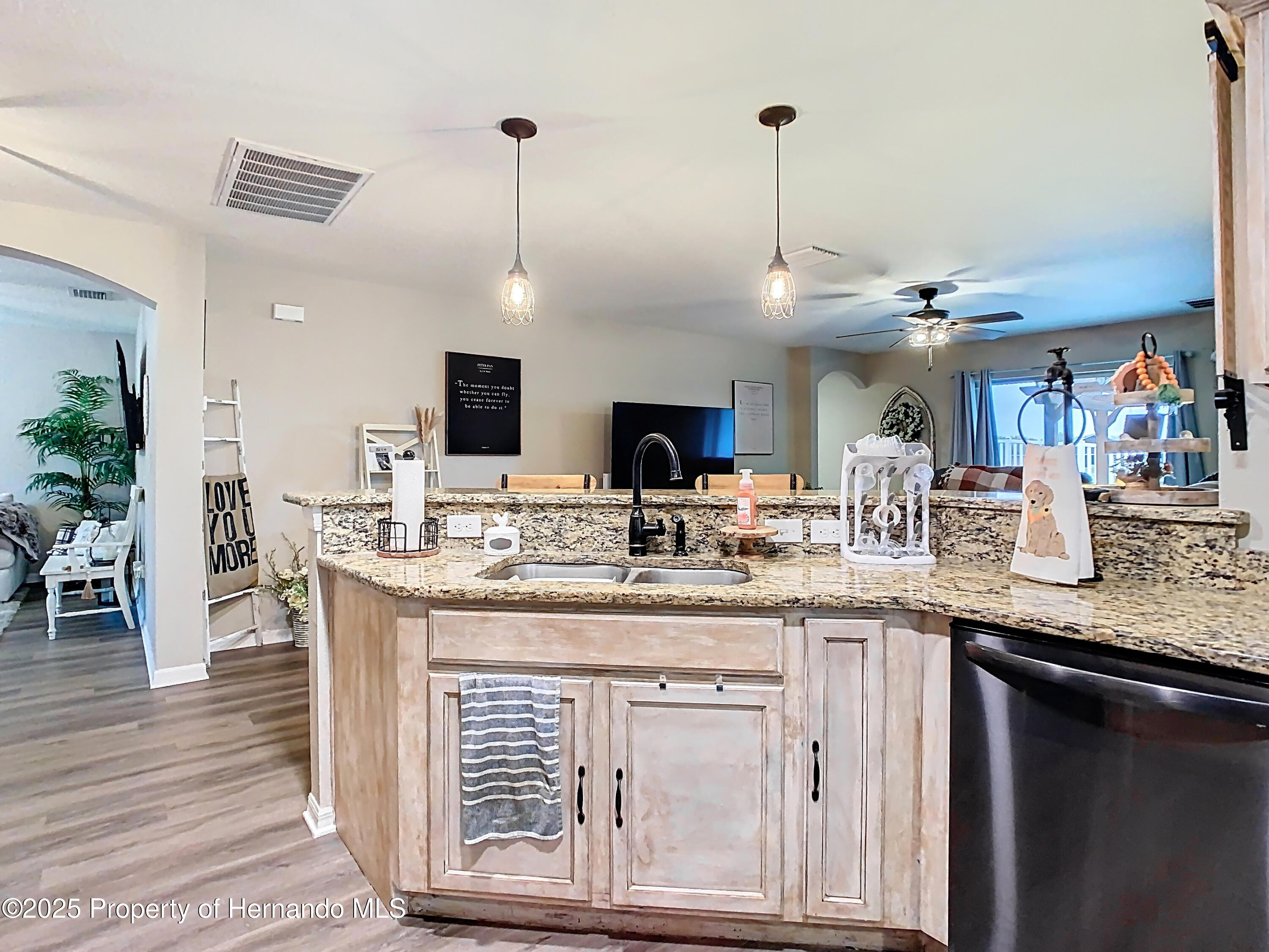 30886 Satinleaf, Brooksville, Florida image 17