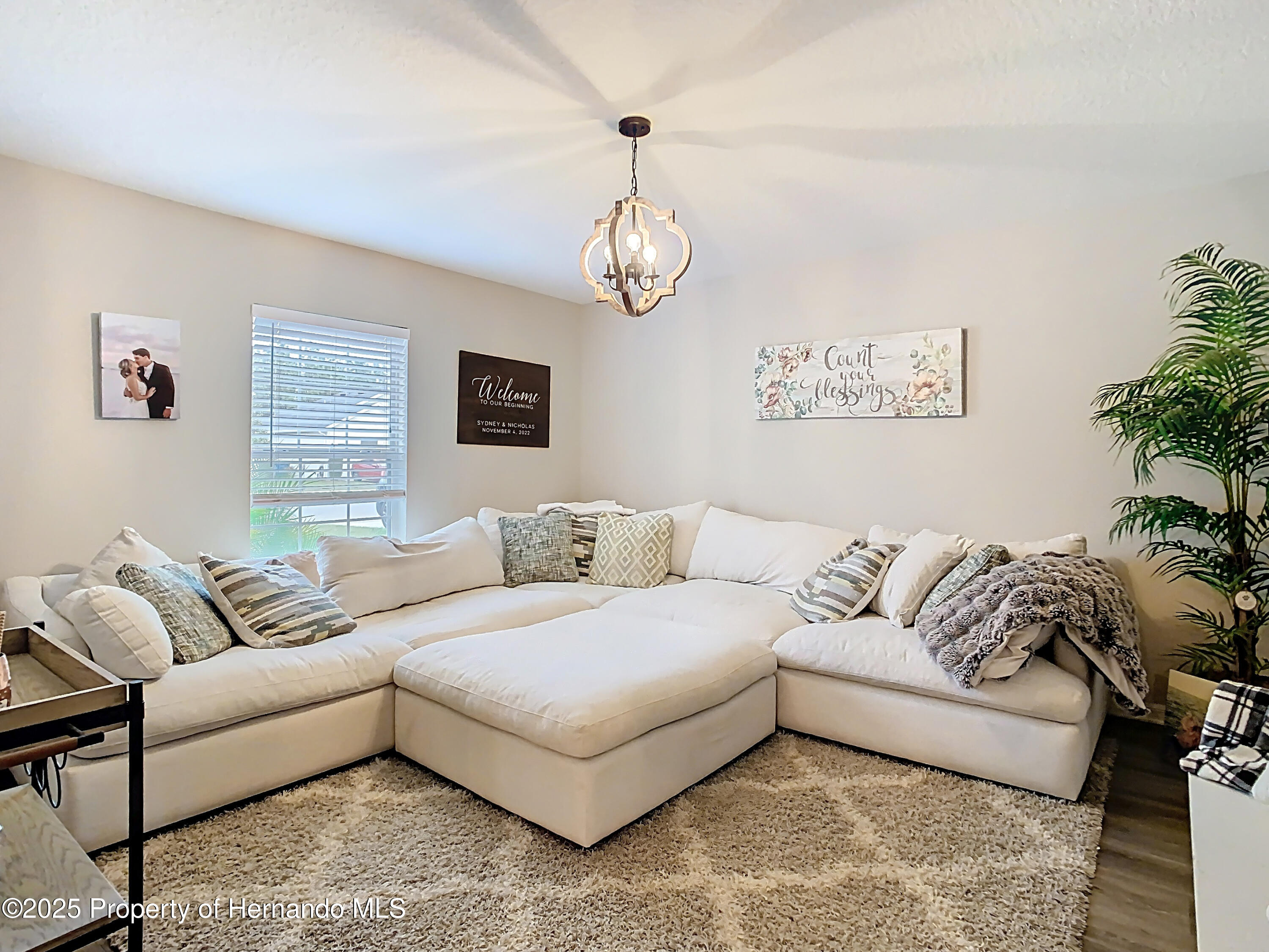 30886 Satinleaf, Brooksville, Florida image 29