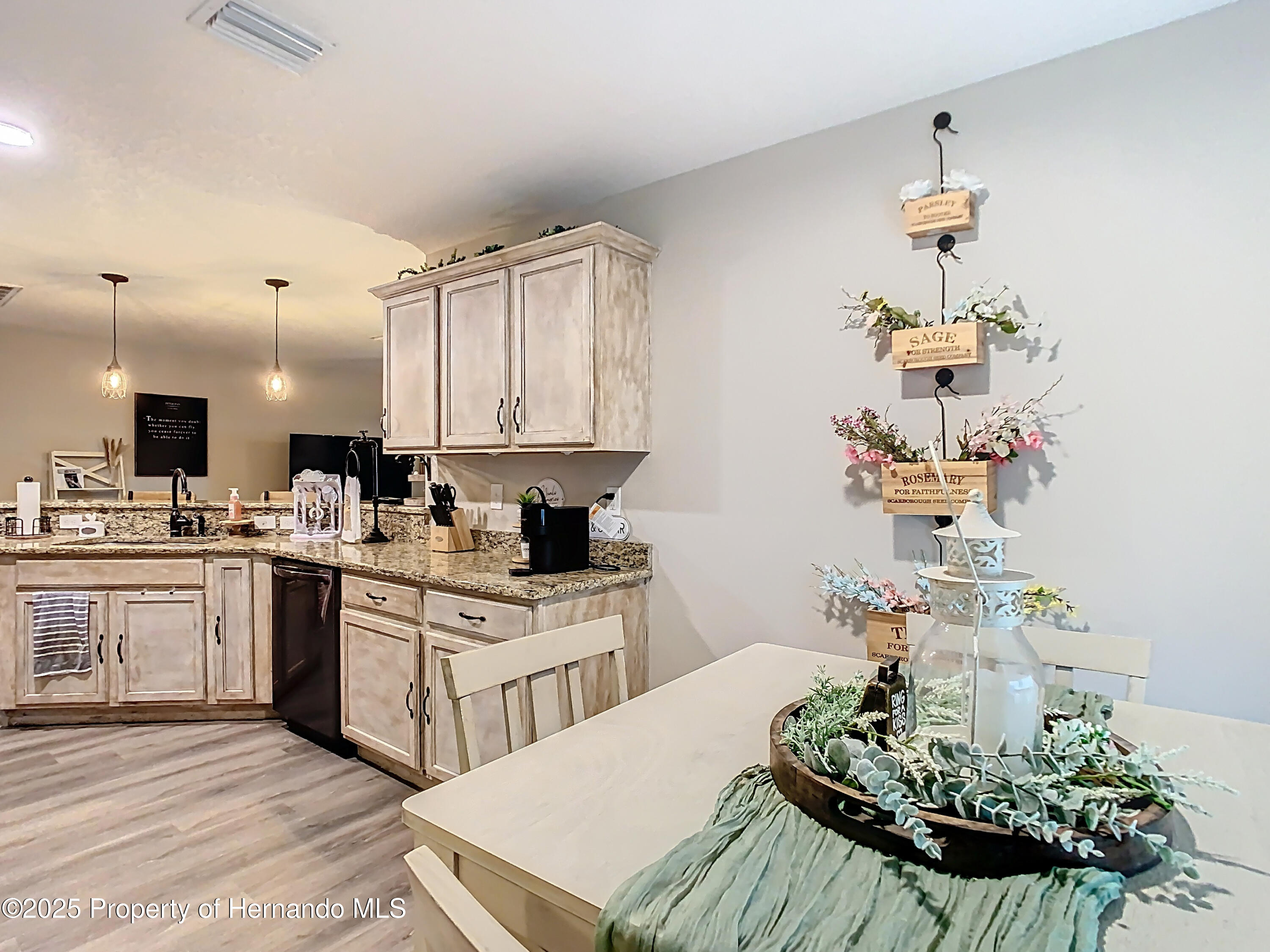 30886 Satinleaf, Brooksville, Florida image 19