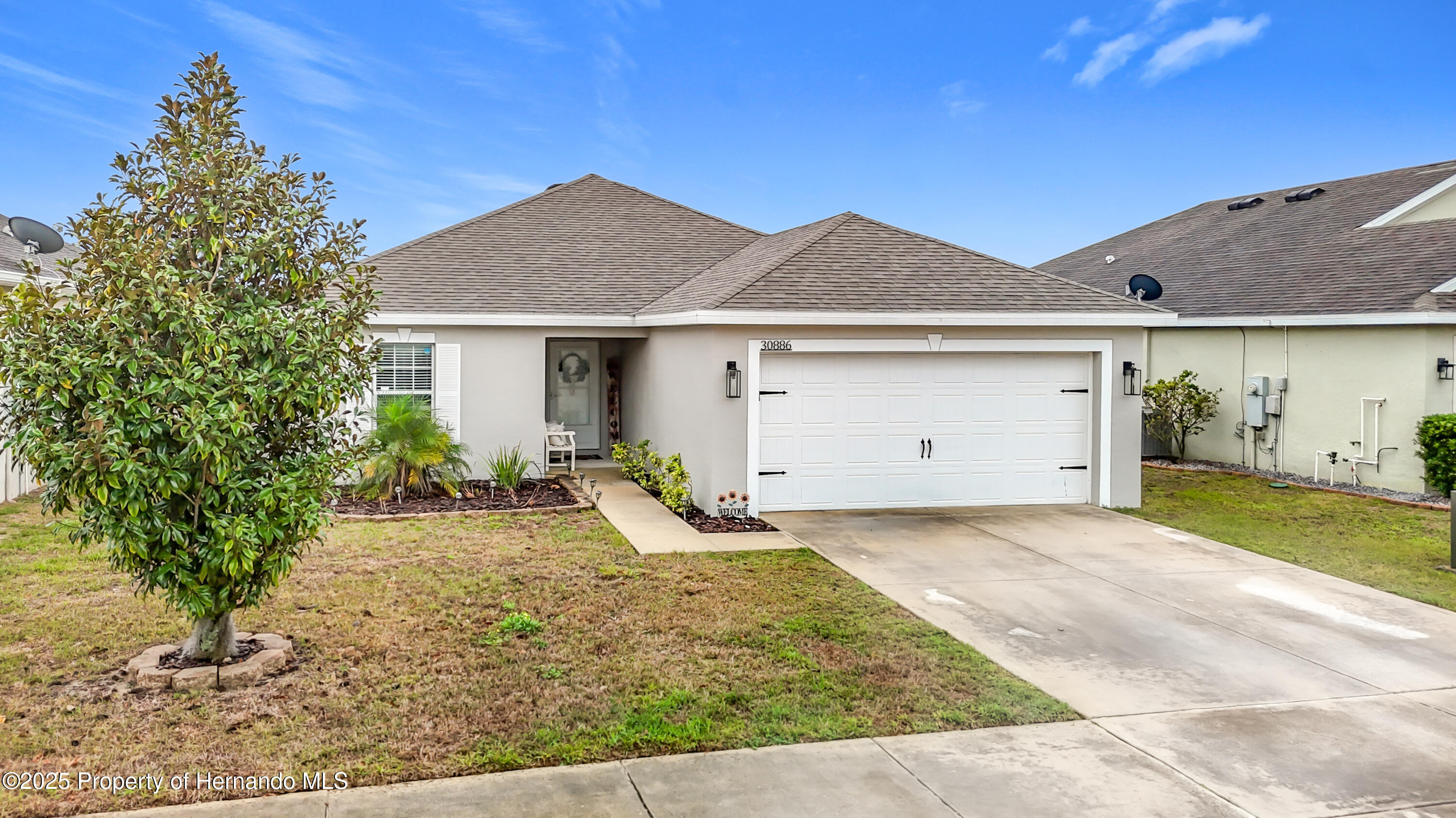 30886 Satinleaf, Brooksville, Florida image 4