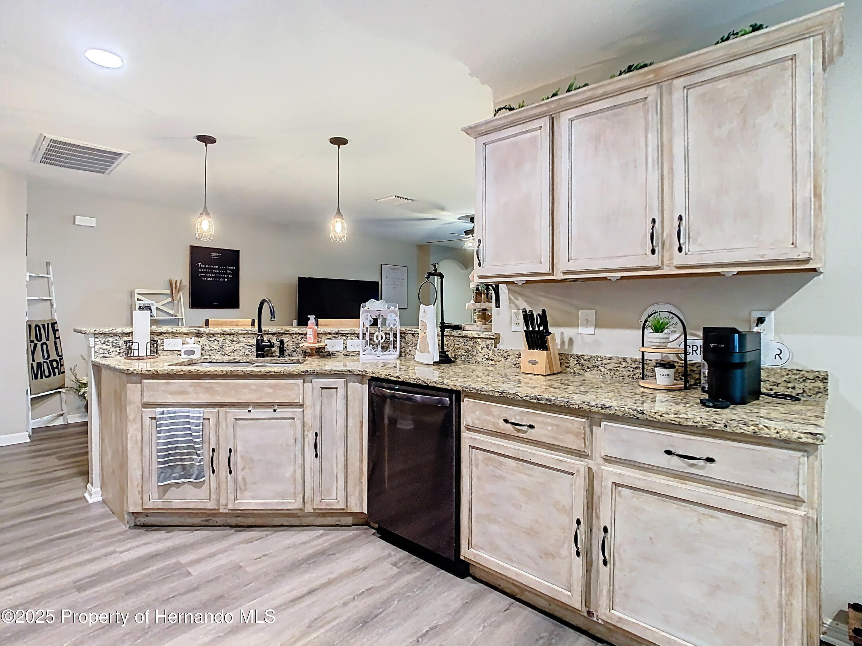 30886 Satinleaf, Brooksville, Florida image 16