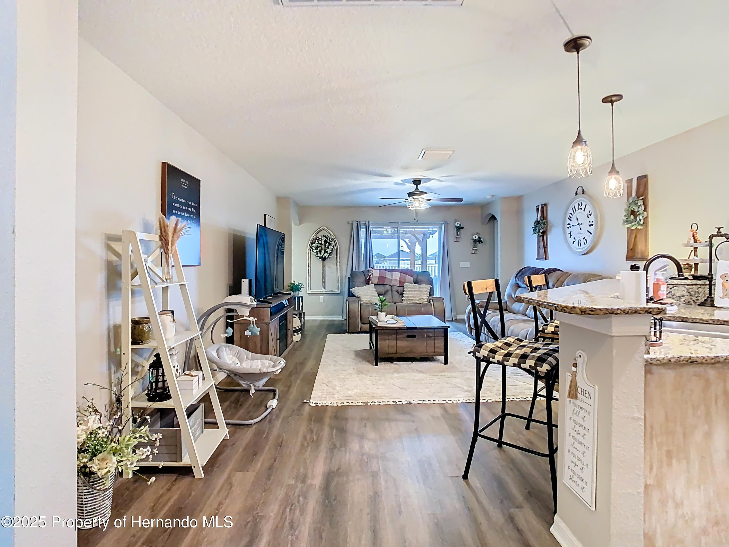 30886 Satinleaf, Brooksville, Florida image 23