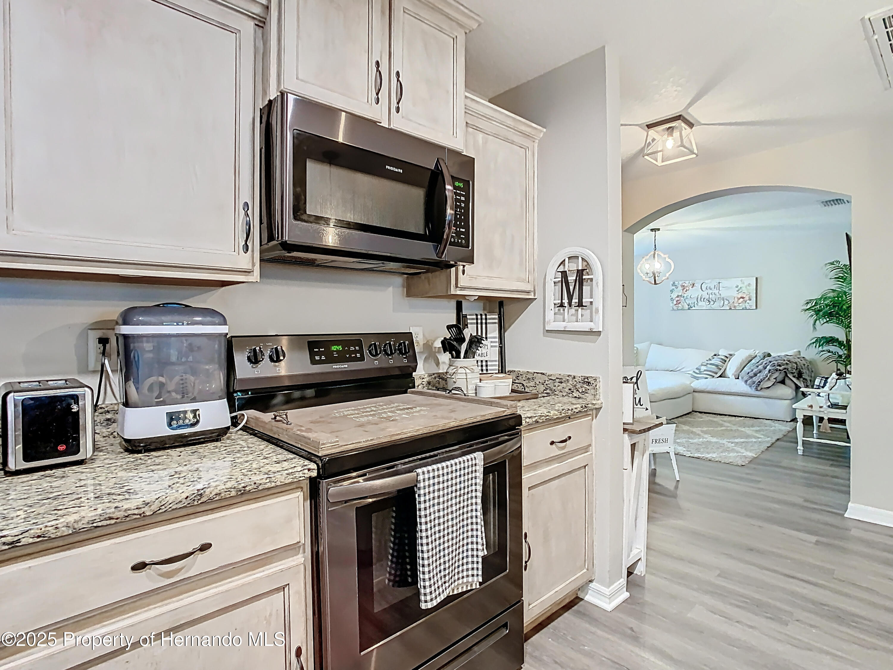 30886 Satinleaf, Brooksville, Florida image 13