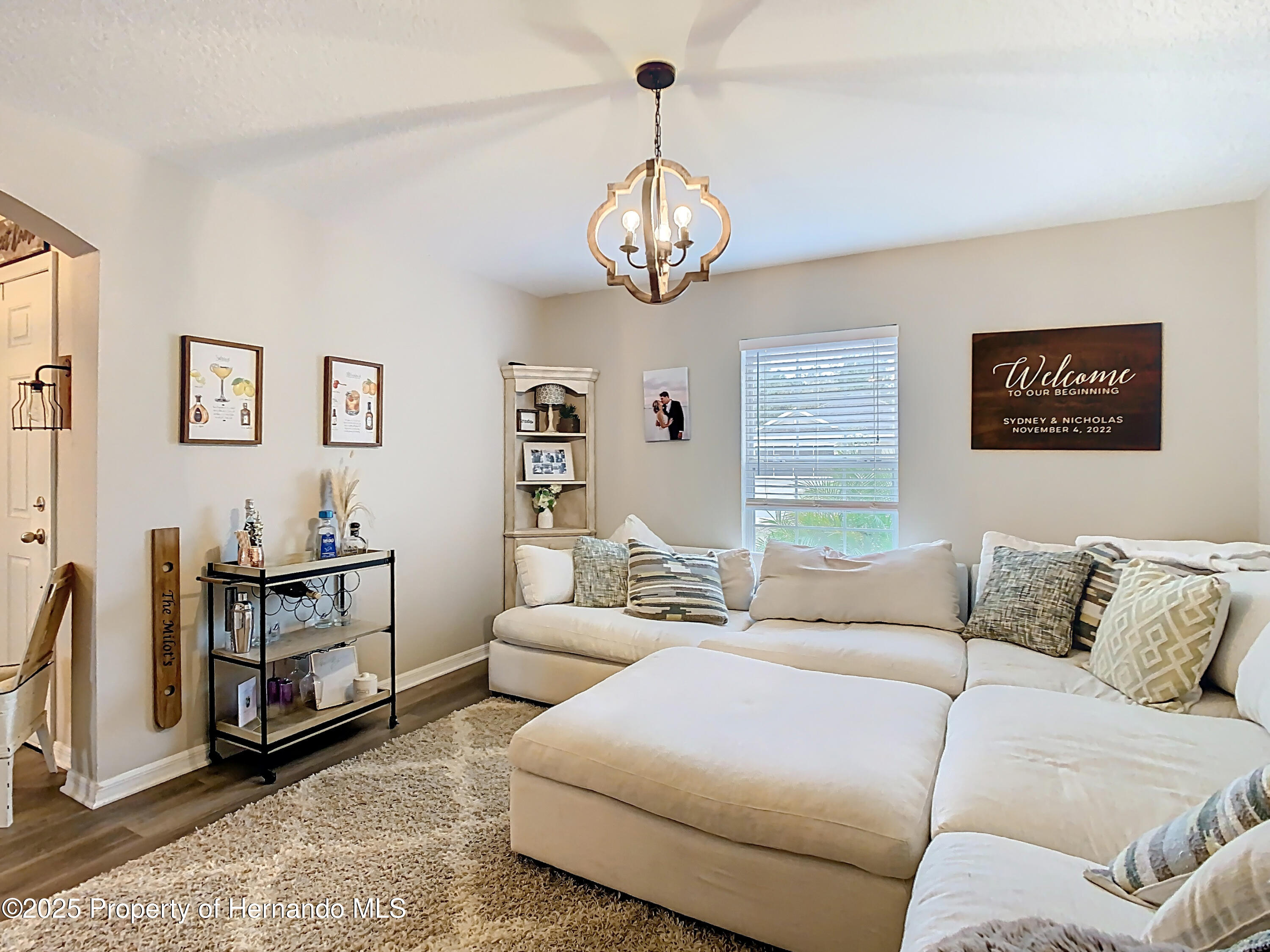30886 Satinleaf, Brooksville, Florida image 28