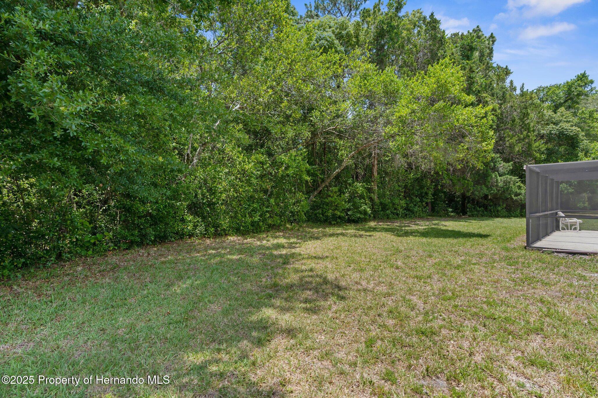 53 Pine Street, Homosassa, Florida image 24