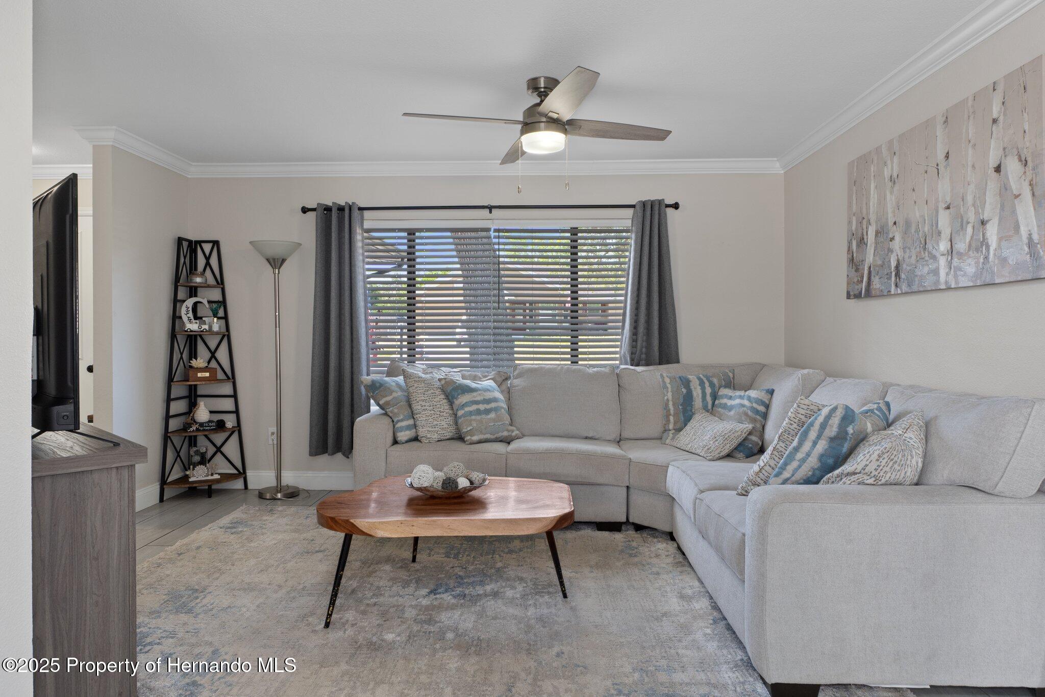 11137 Addison Street, Spring Hill, Florida image 12
