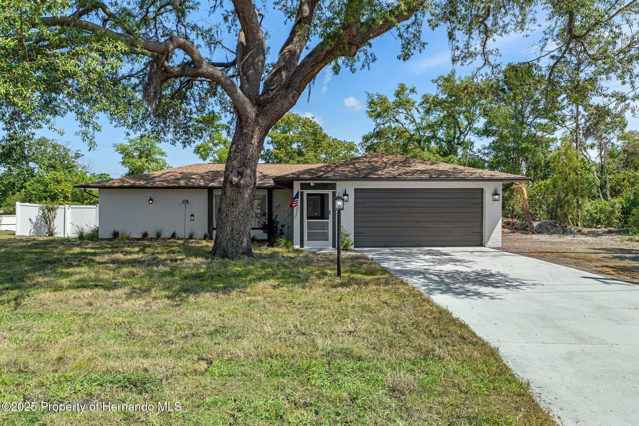 11137 Addison Street, Spring Hill, Florida image 6