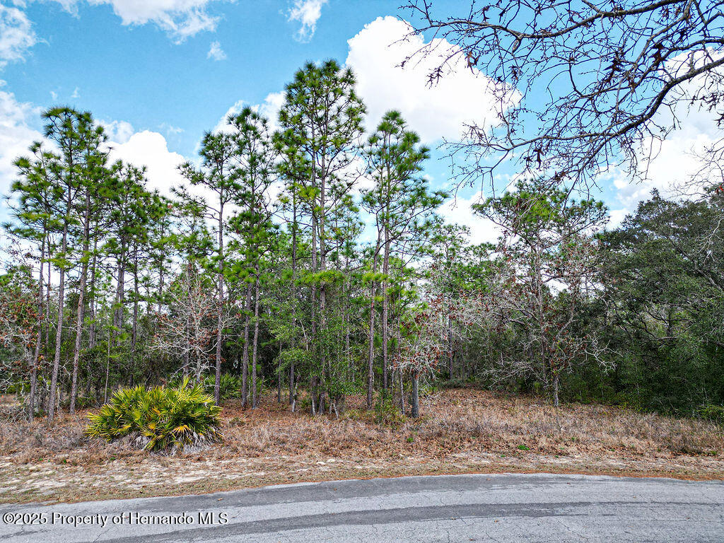 32 Speceberry Circle, Homosassa, Florida image 3