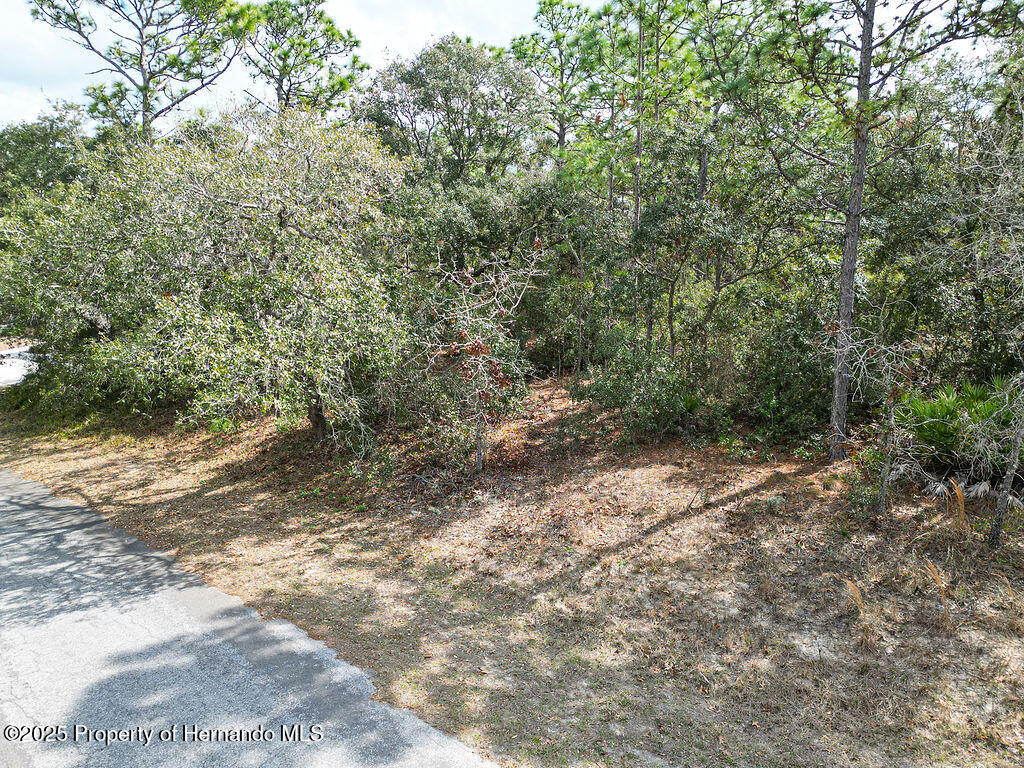 32 Speceberry Circle, Homosassa, Florida image 13