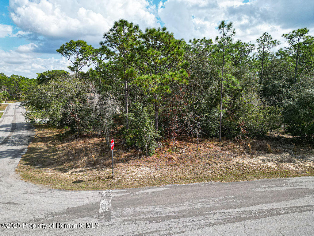 32 Speceberry Circle, Homosassa, Florida image 11