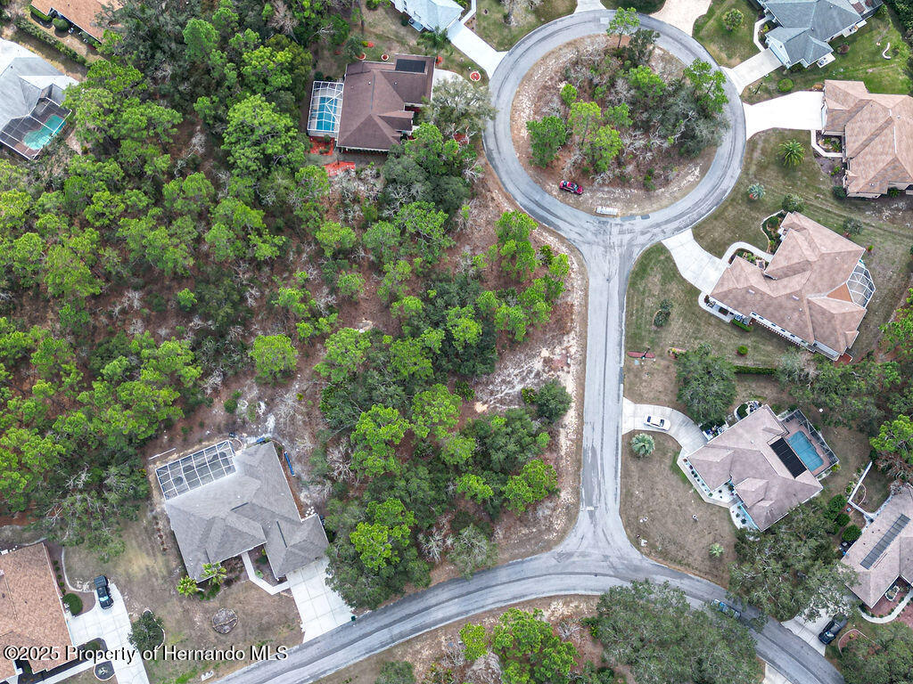 32 Speceberry Circle, Homosassa, Florida image 18