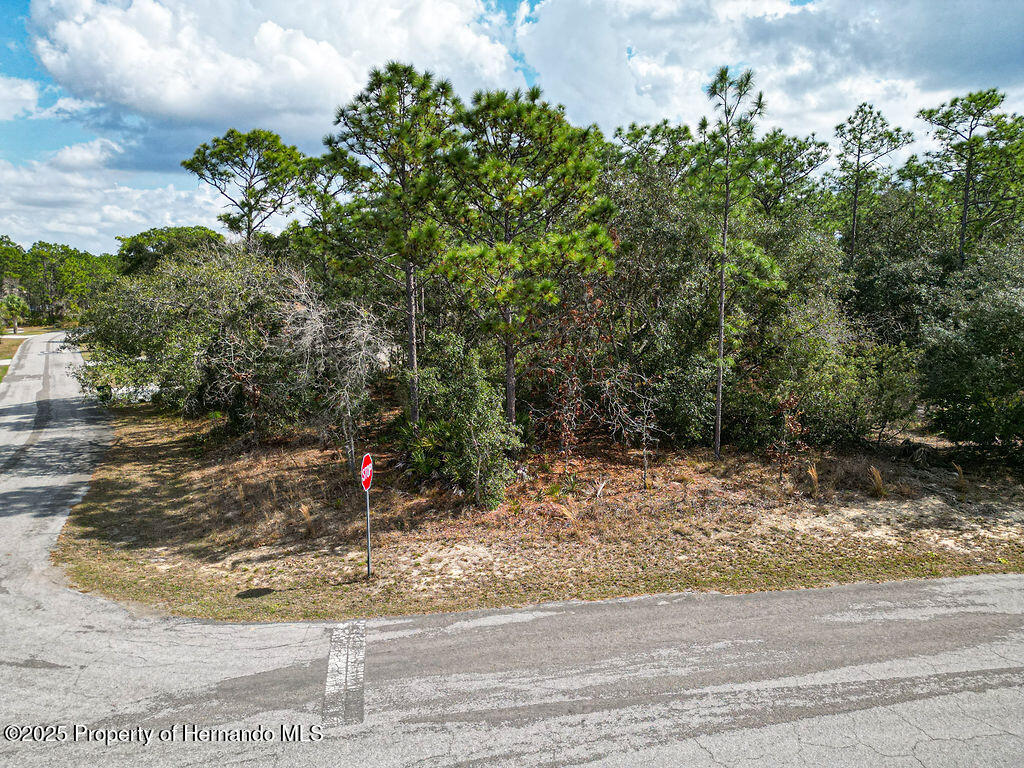 32 Speceberry Circle, Homosassa, Florida image 10