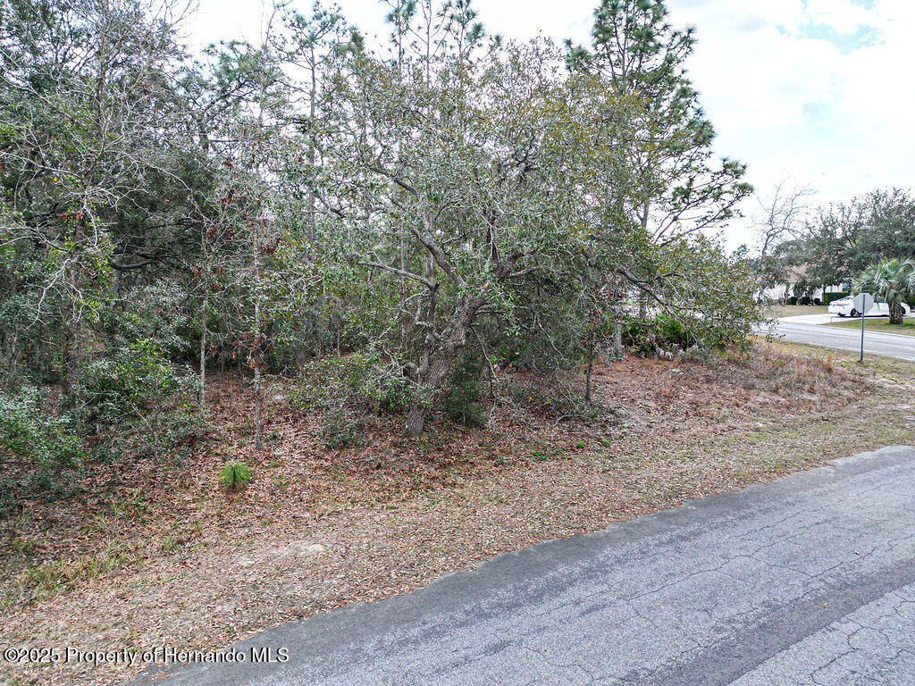 32 Speceberry Circle, Homosassa, Florida image 15