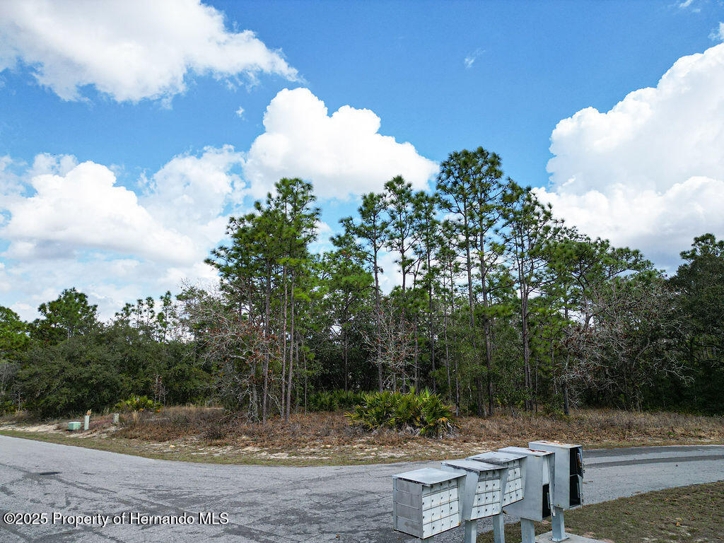 32 Speceberry Circle, Homosassa, Florida image 6