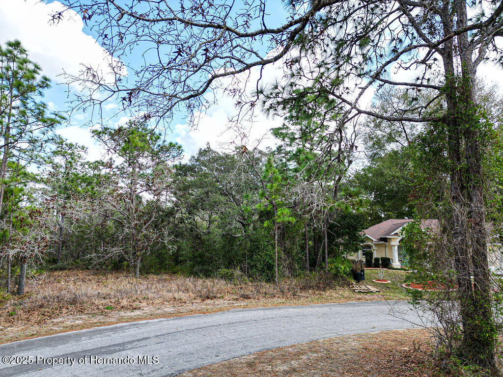 32 Speceberry Circle, Homosassa, Florida image 4