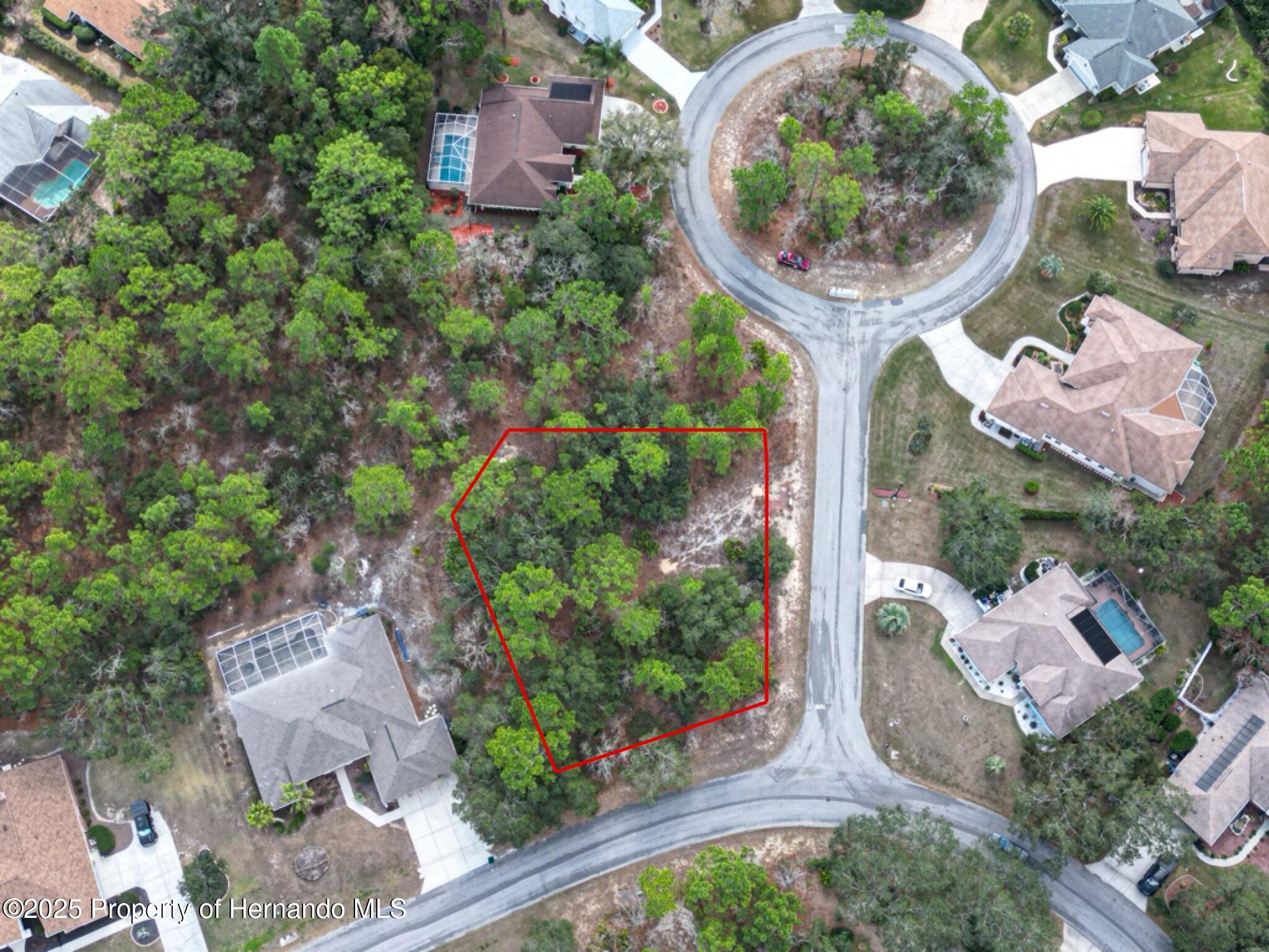 32 Speceberry Circle, Homosassa, Florida image 2