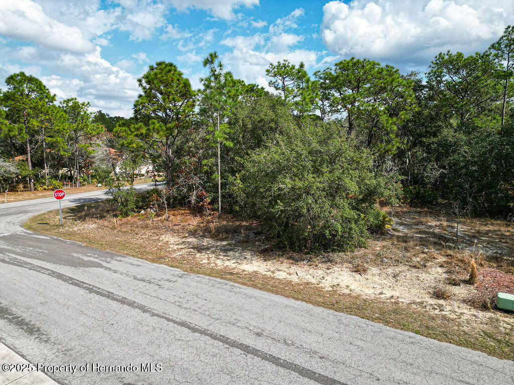 32 Speceberry Circle, Homosassa, Florida image 9