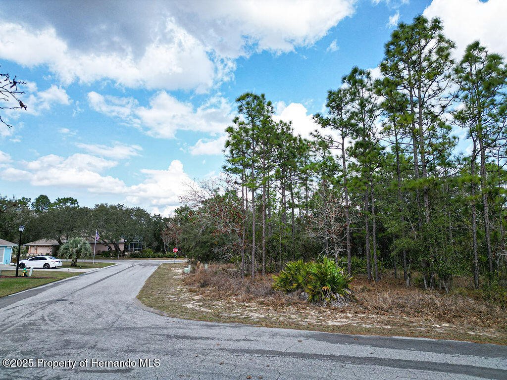 32 Speceberry Circle, Homosassa, Florida image 1