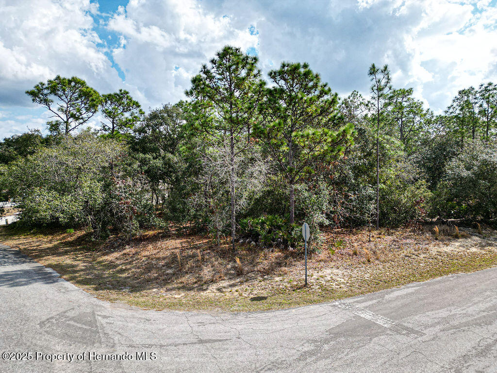 32 Speceberry Circle, Homosassa, Florida image 12