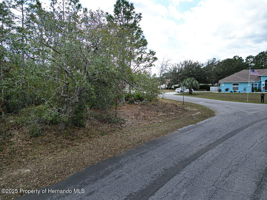 32 Speceberry Circle, Homosassa, Florida image 16