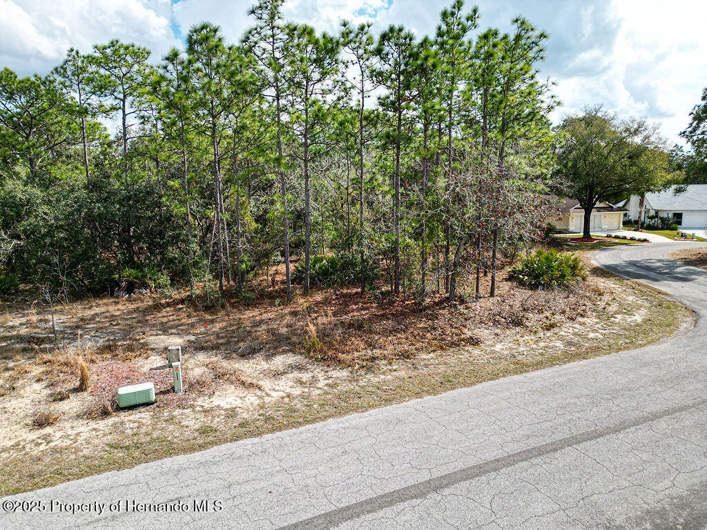 32 Speceberry Circle, Homosassa, Florida image 8