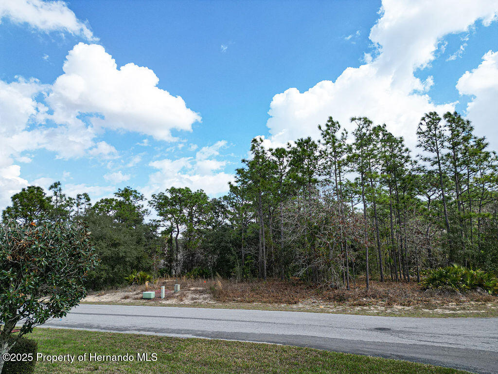 32 Speceberry Circle, Homosassa, Florida image 7