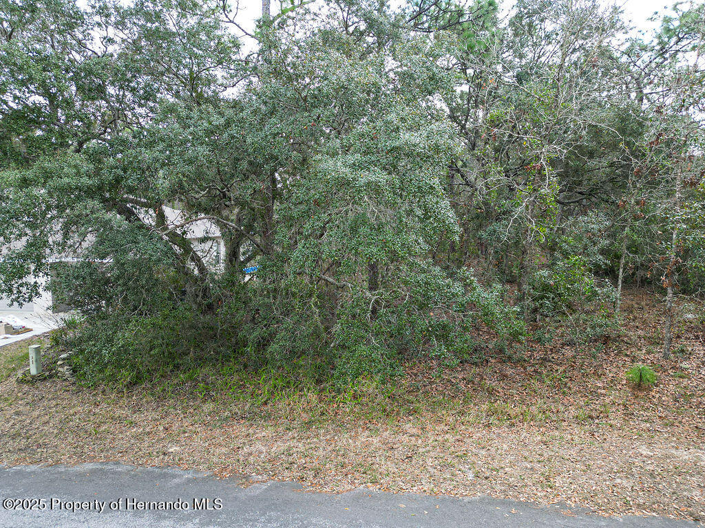 32 Speceberry Circle, Homosassa, Florida image 14