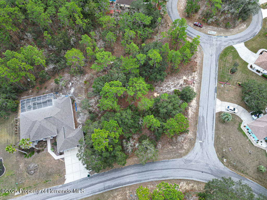32 Speceberry Circle, Homosassa, Florida image 17