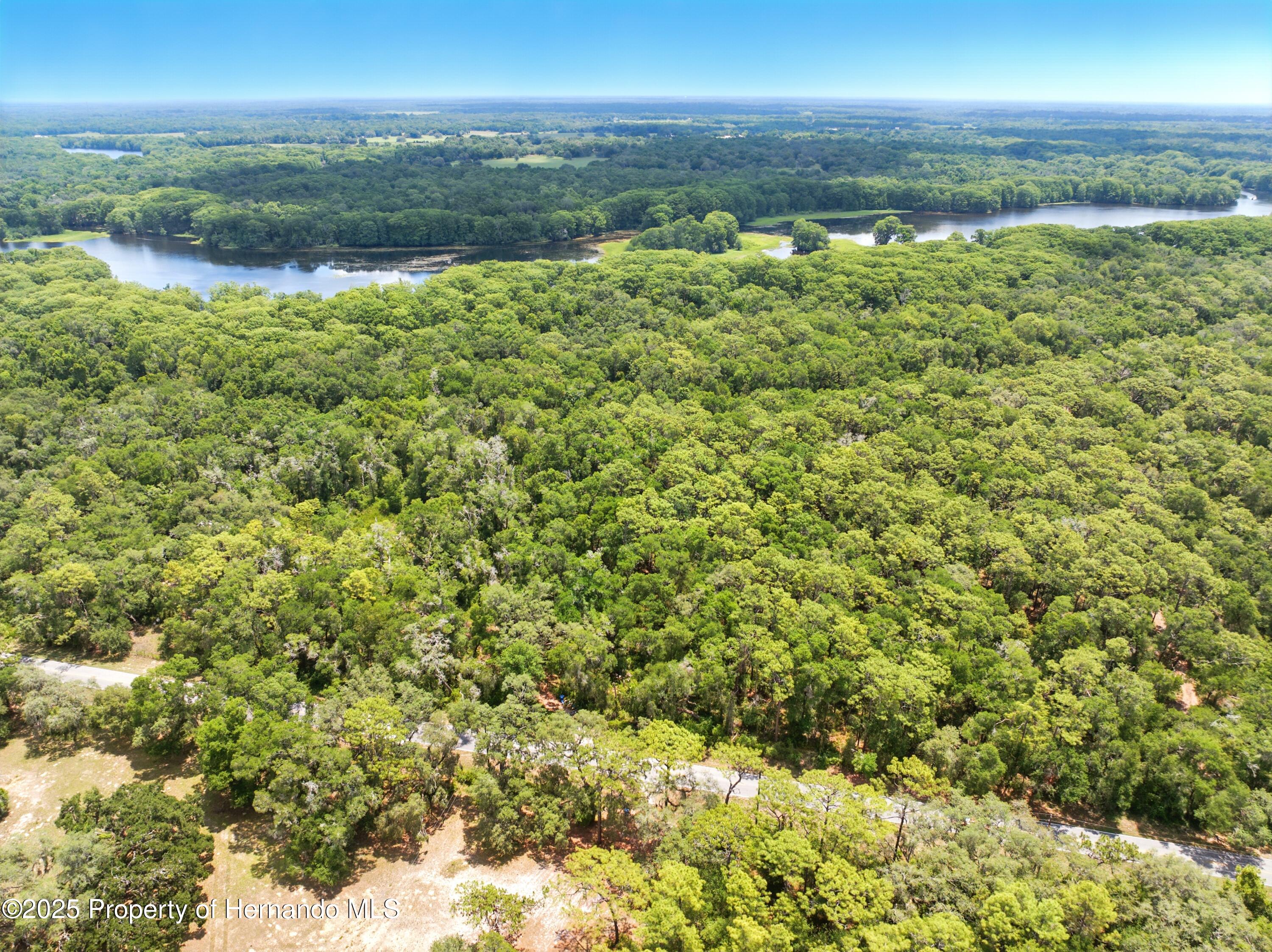 Lingle Road, Brooksville, Florida image 7