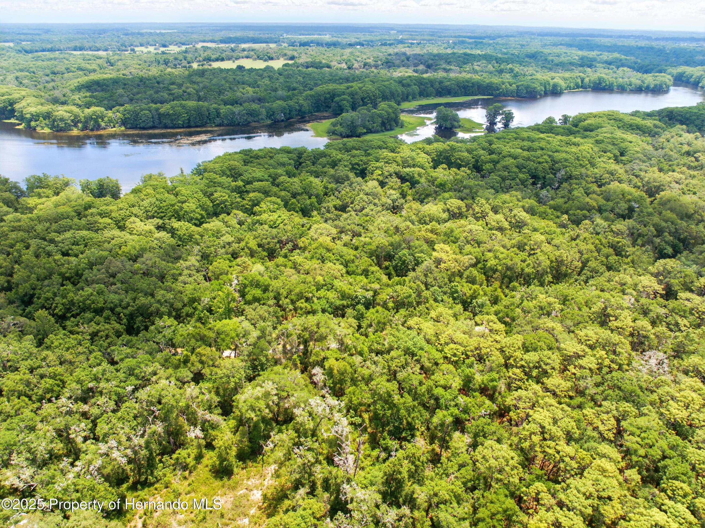 Lingle Road, Brooksville, Florida image 13