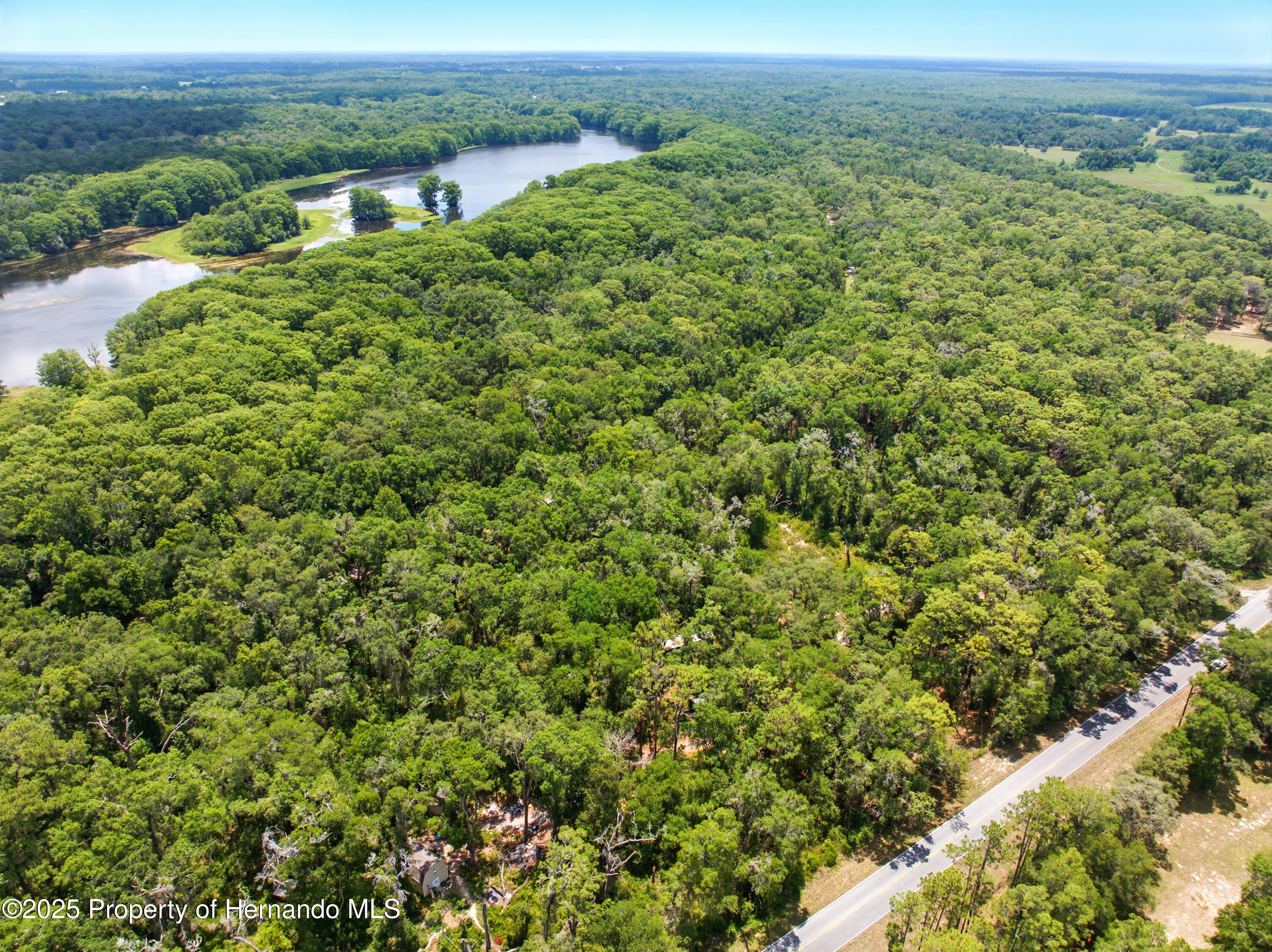 Lingle Road, Brooksville, Florida image 6