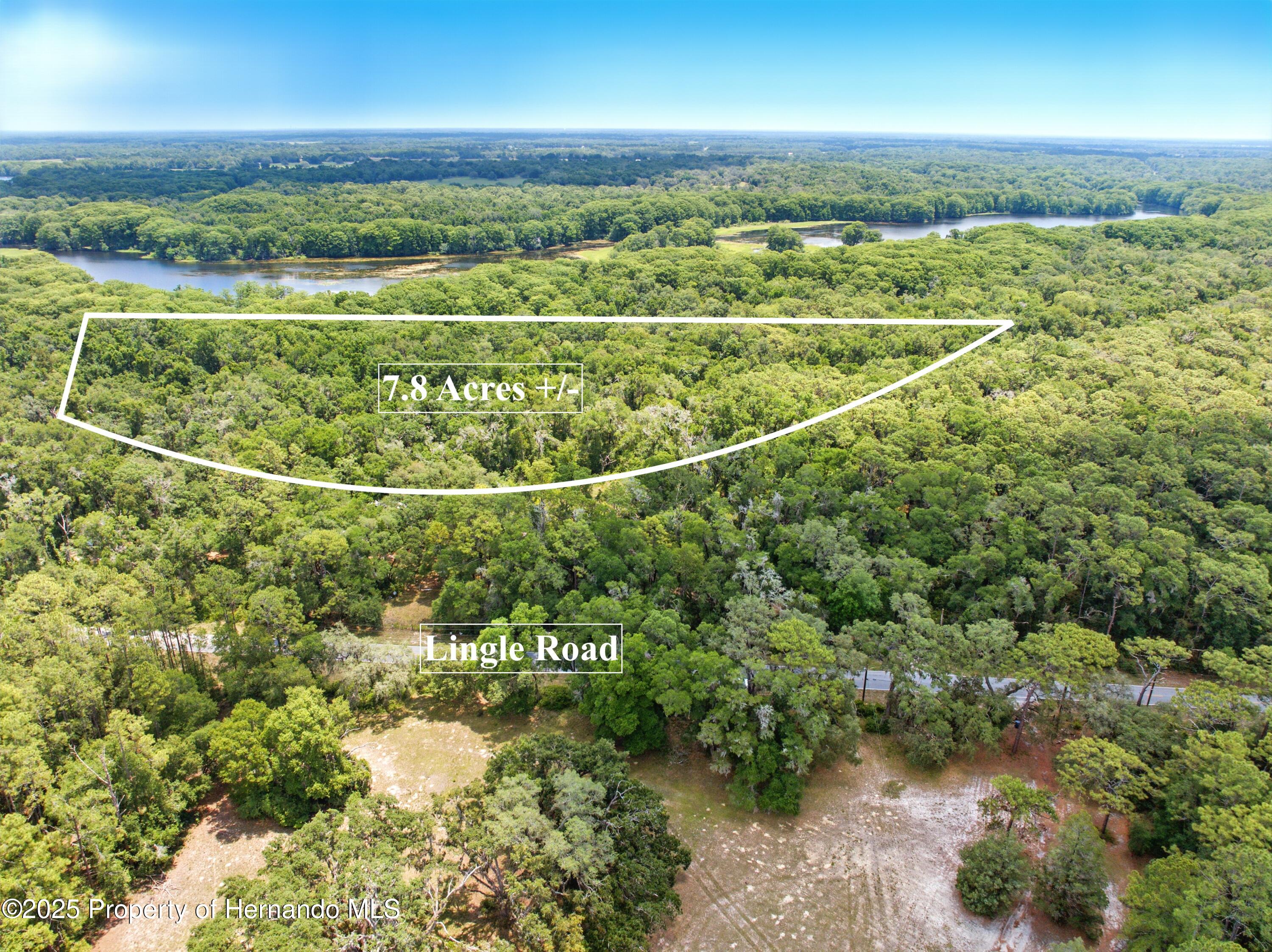 Lingle Road, Brooksville, Florida image 2