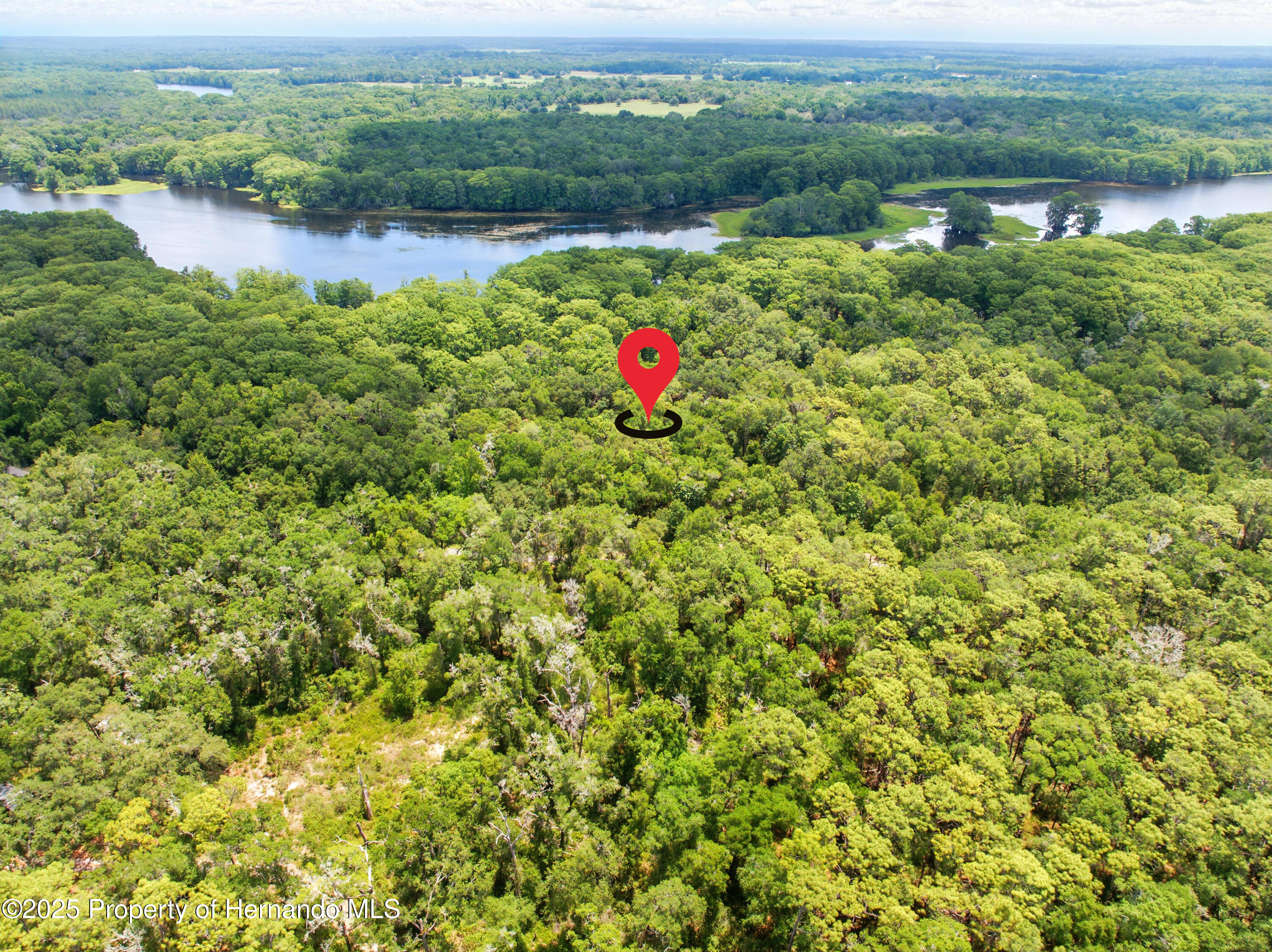 Lingle Road, Brooksville, Florida image 12