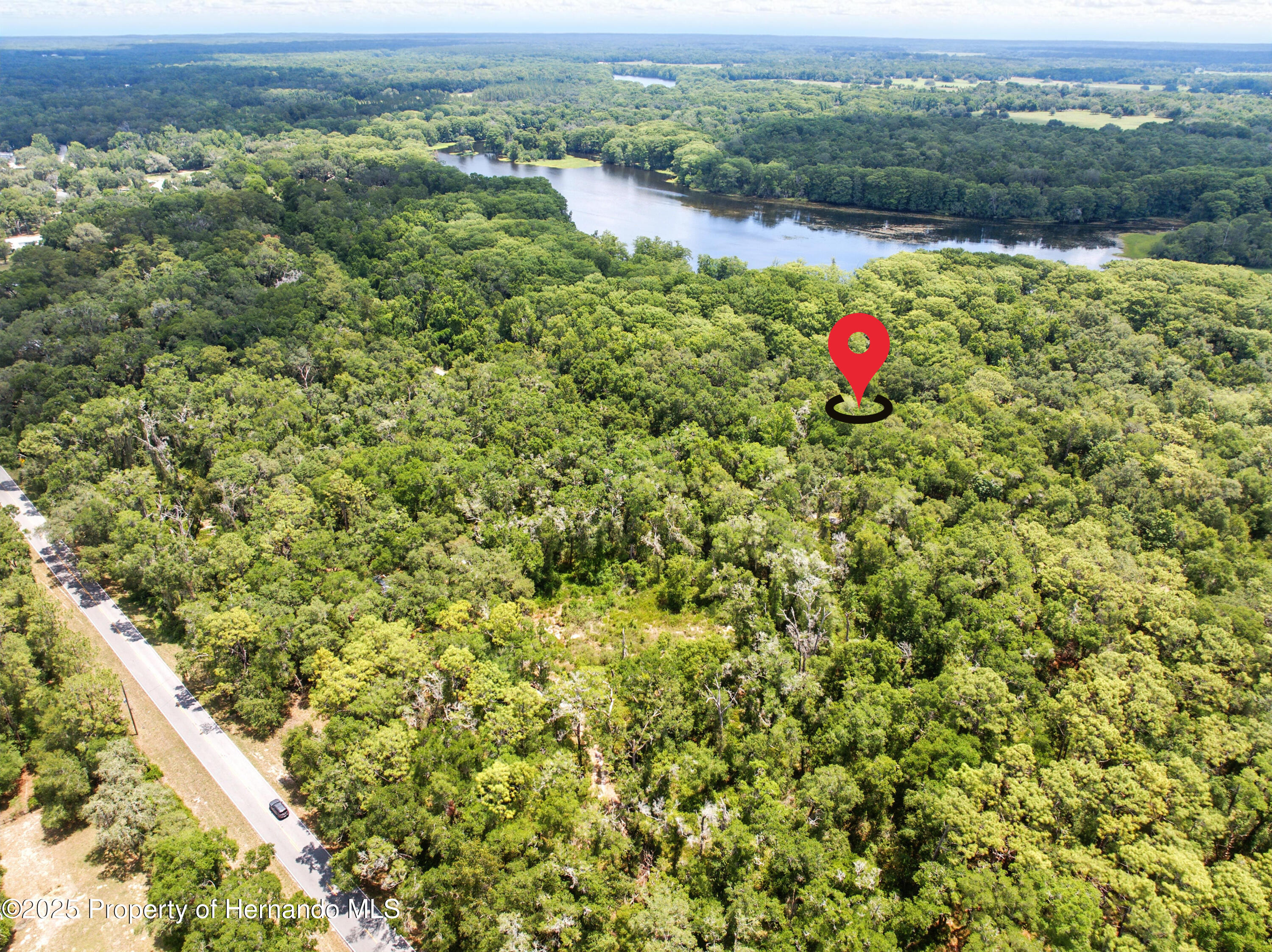Lingle Road, Brooksville, Florida image 10