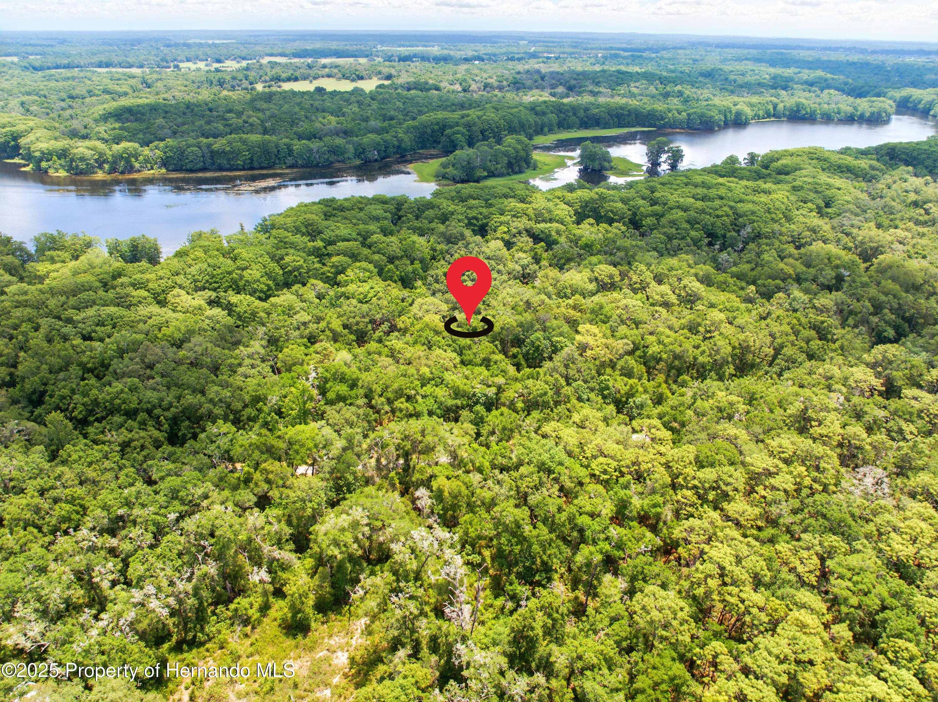 Lingle Road, Brooksville, Florida image 14