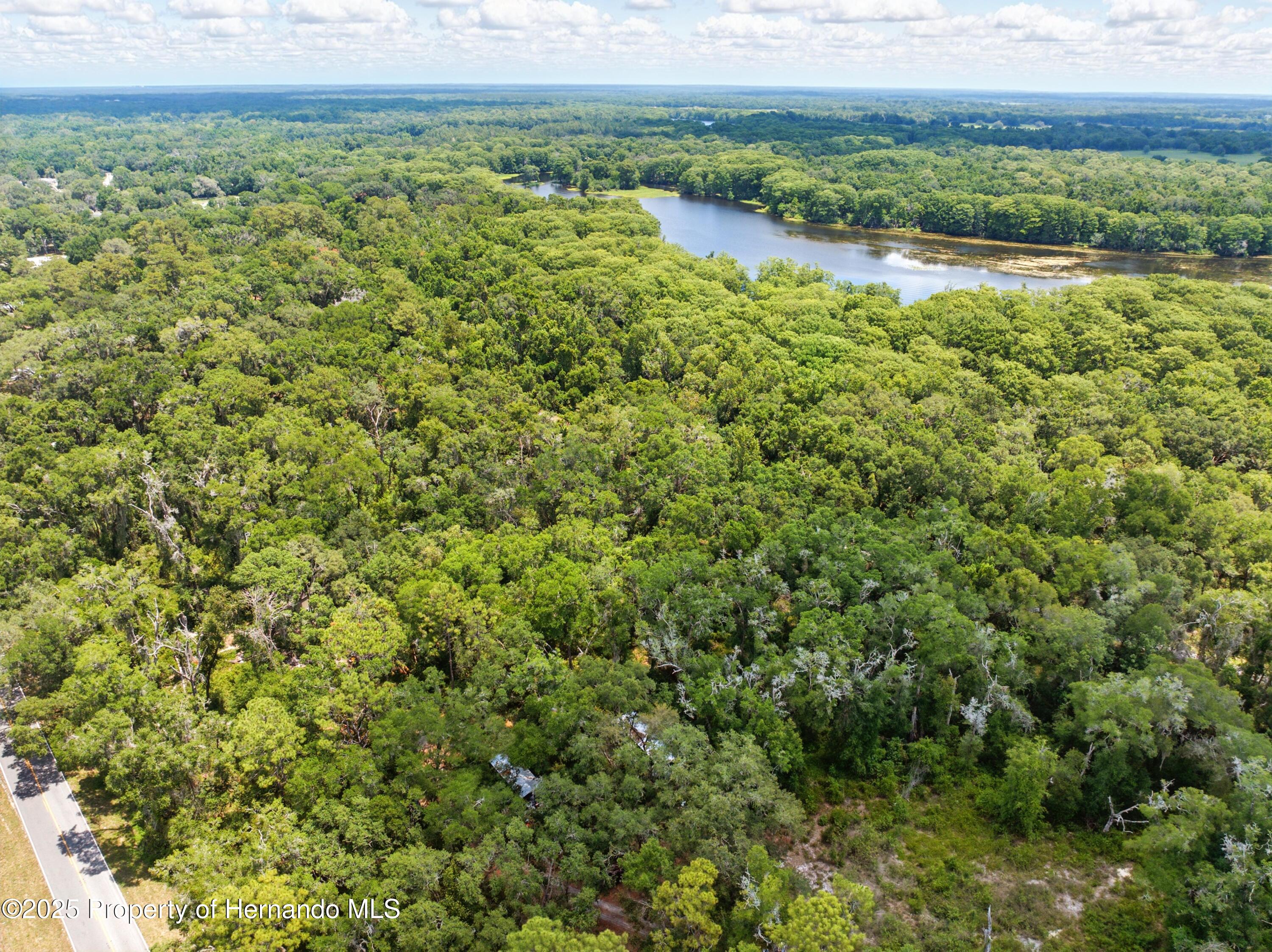 Lingle Road, Brooksville, Florida image 1