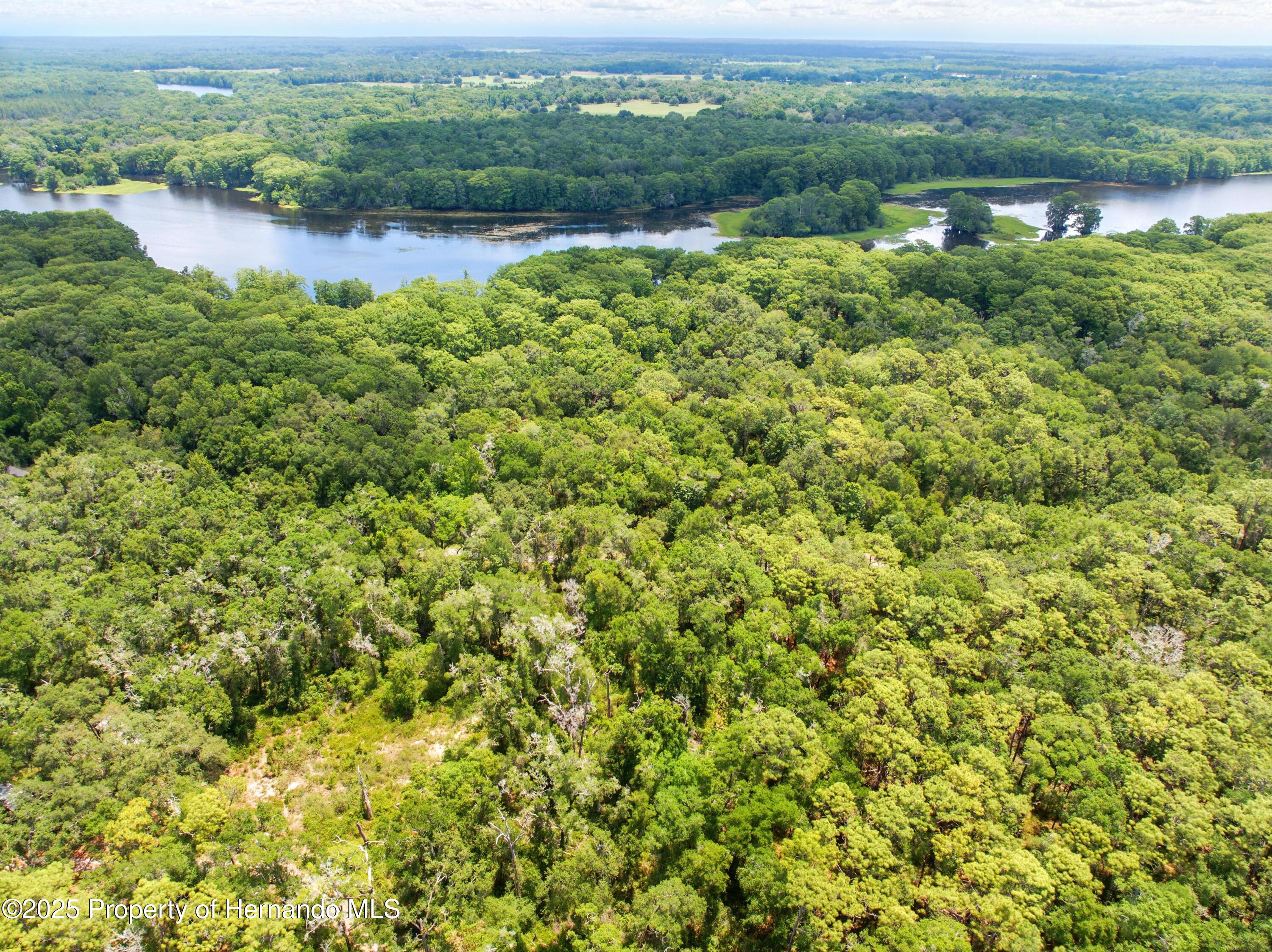 Lingle Road, Brooksville, Florida image 11