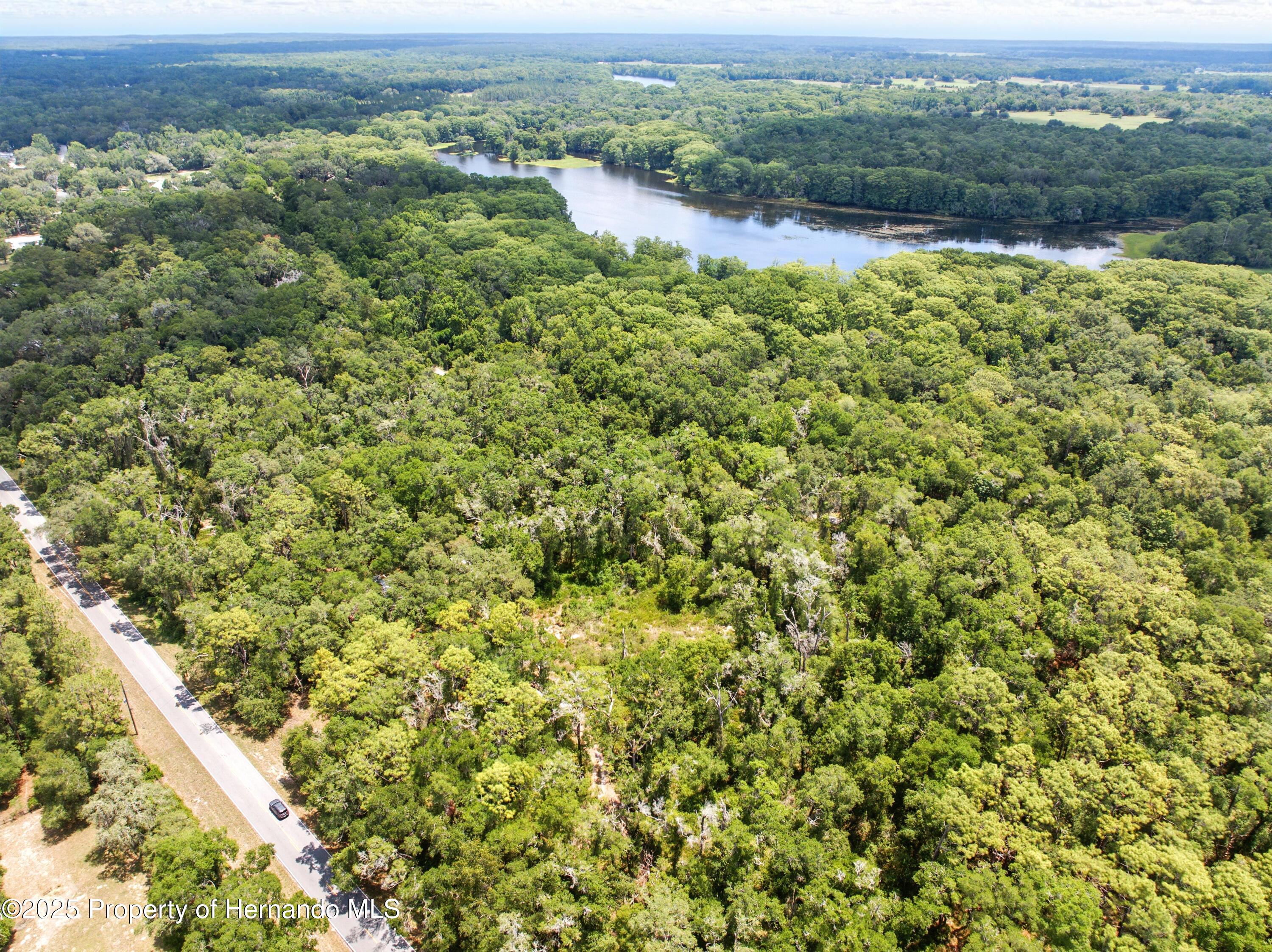 Lingle Road, Brooksville, Florida image 9