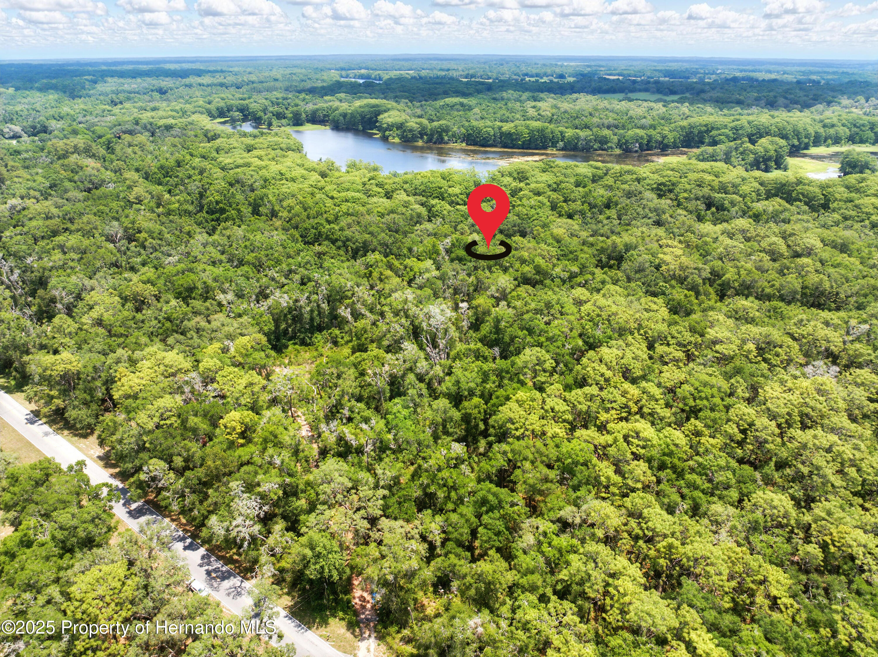 Lingle Road, Brooksville, Florida image 3