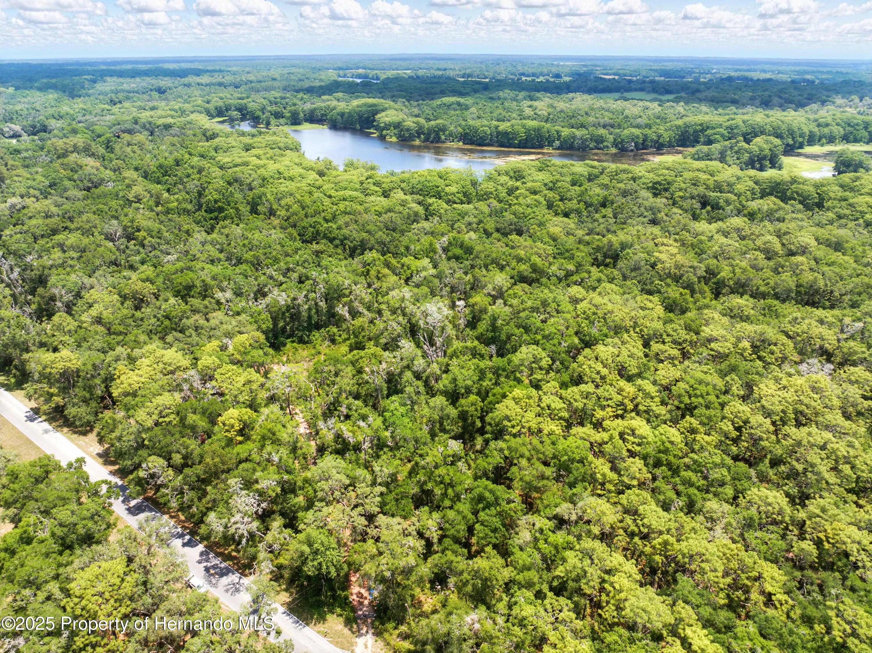 Lingle Road, Brooksville, Florida image 4