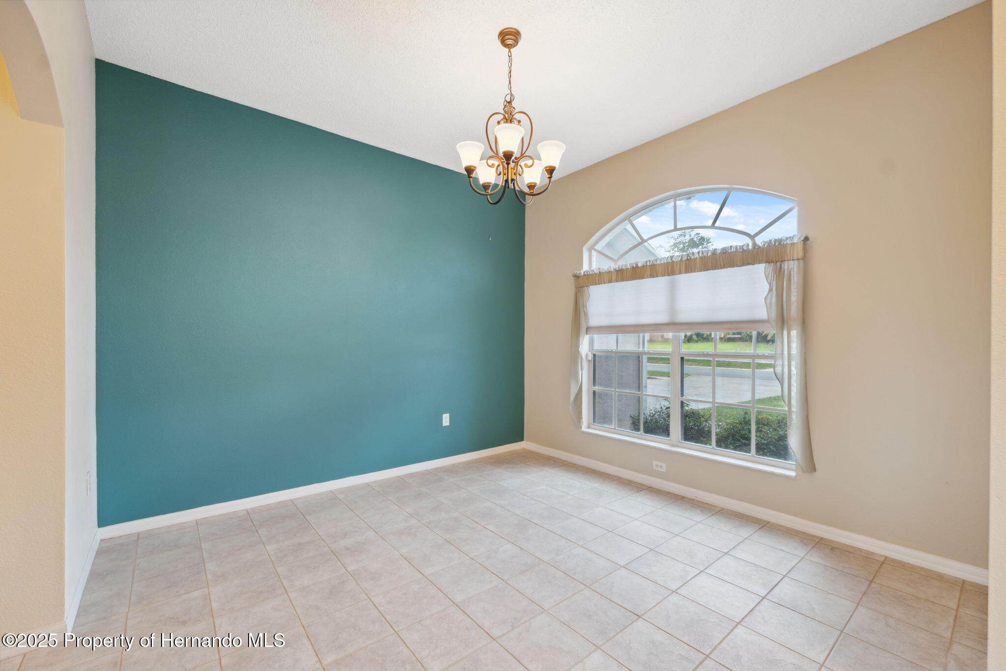 10296 Palmgren Lane, Spring Hill, Florida image 8