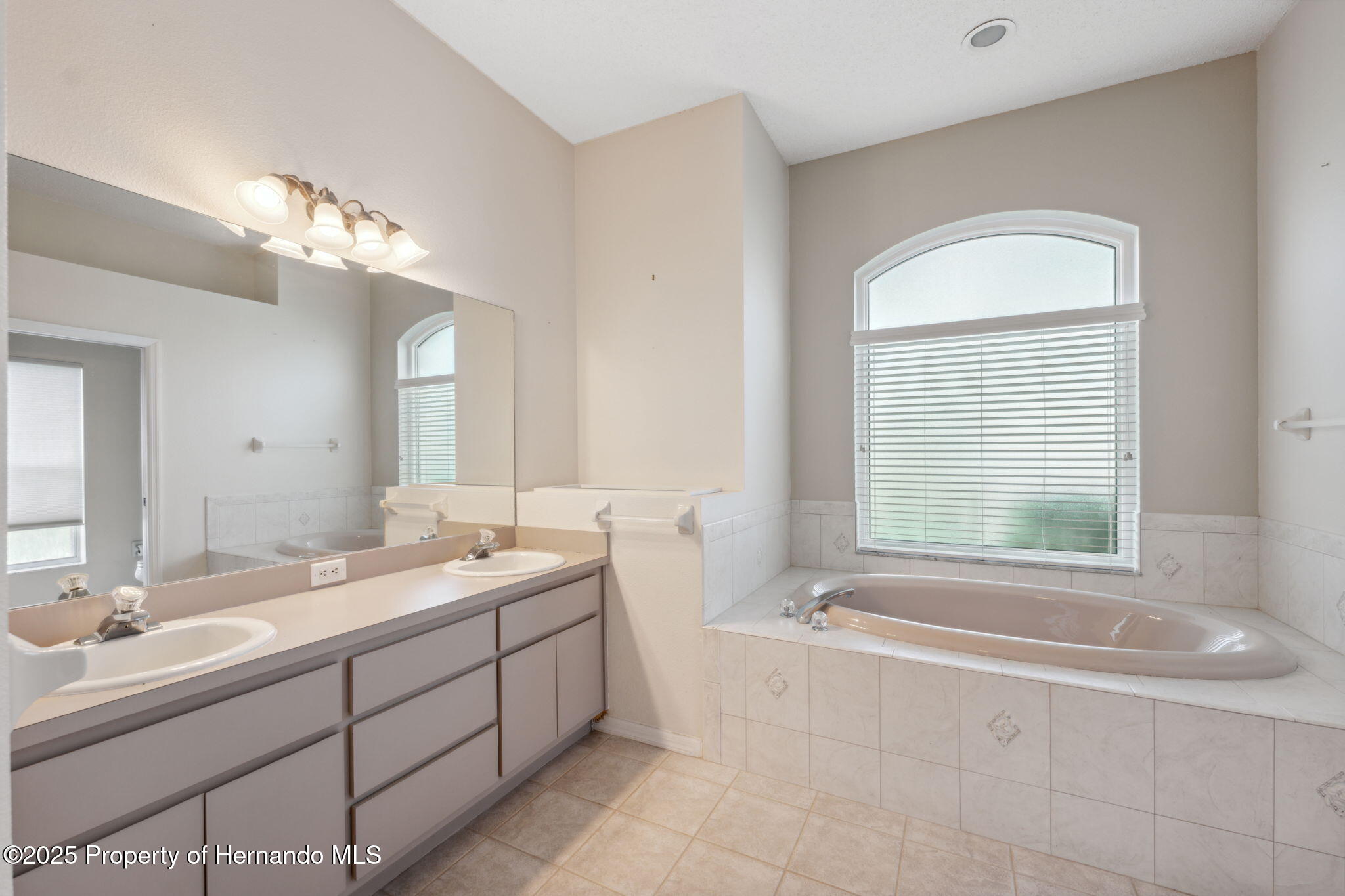 10296 Palmgren Lane, Spring Hill, Florida image 24