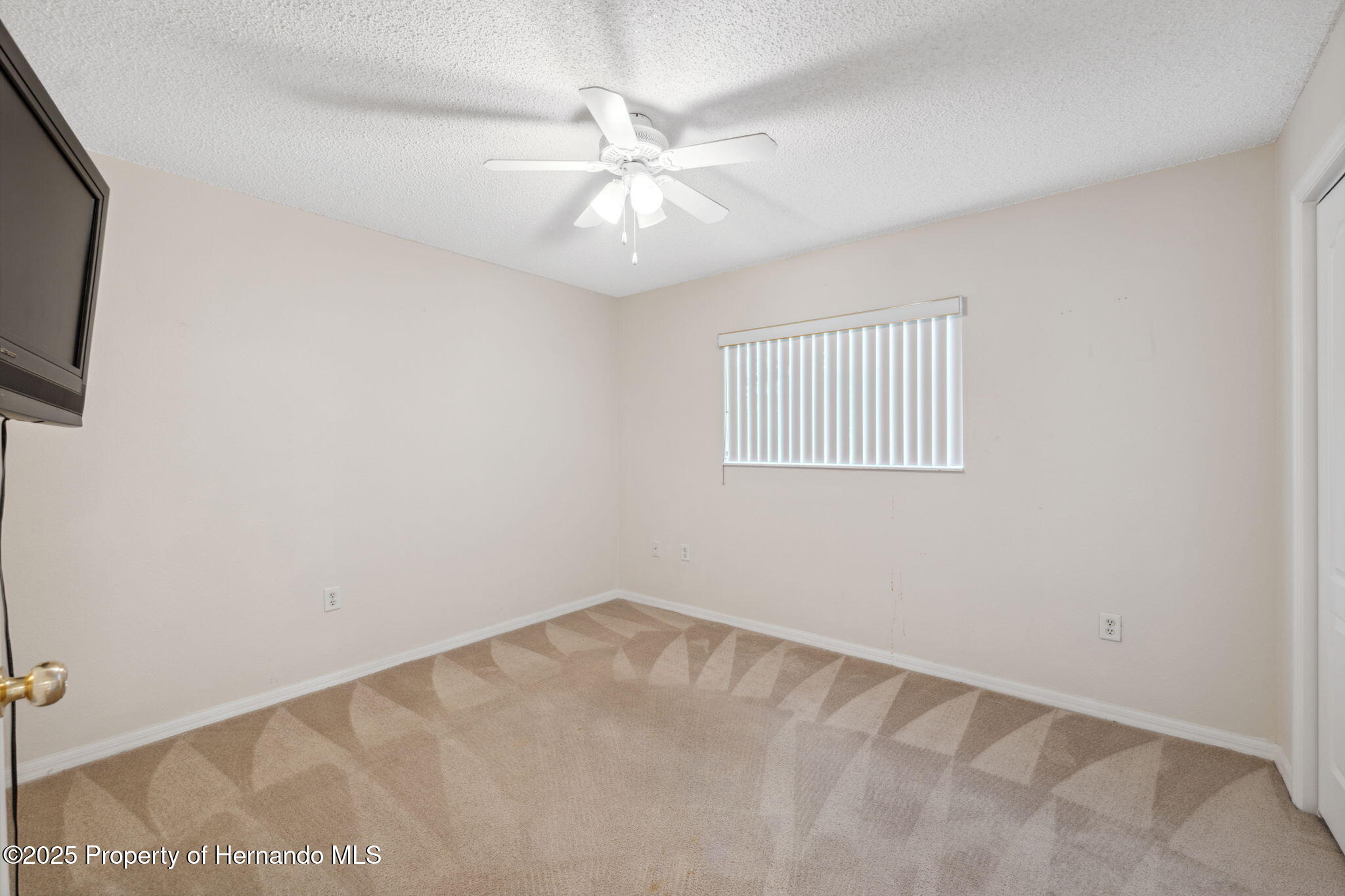 10296 Palmgren Lane, Spring Hill, Florida image 32