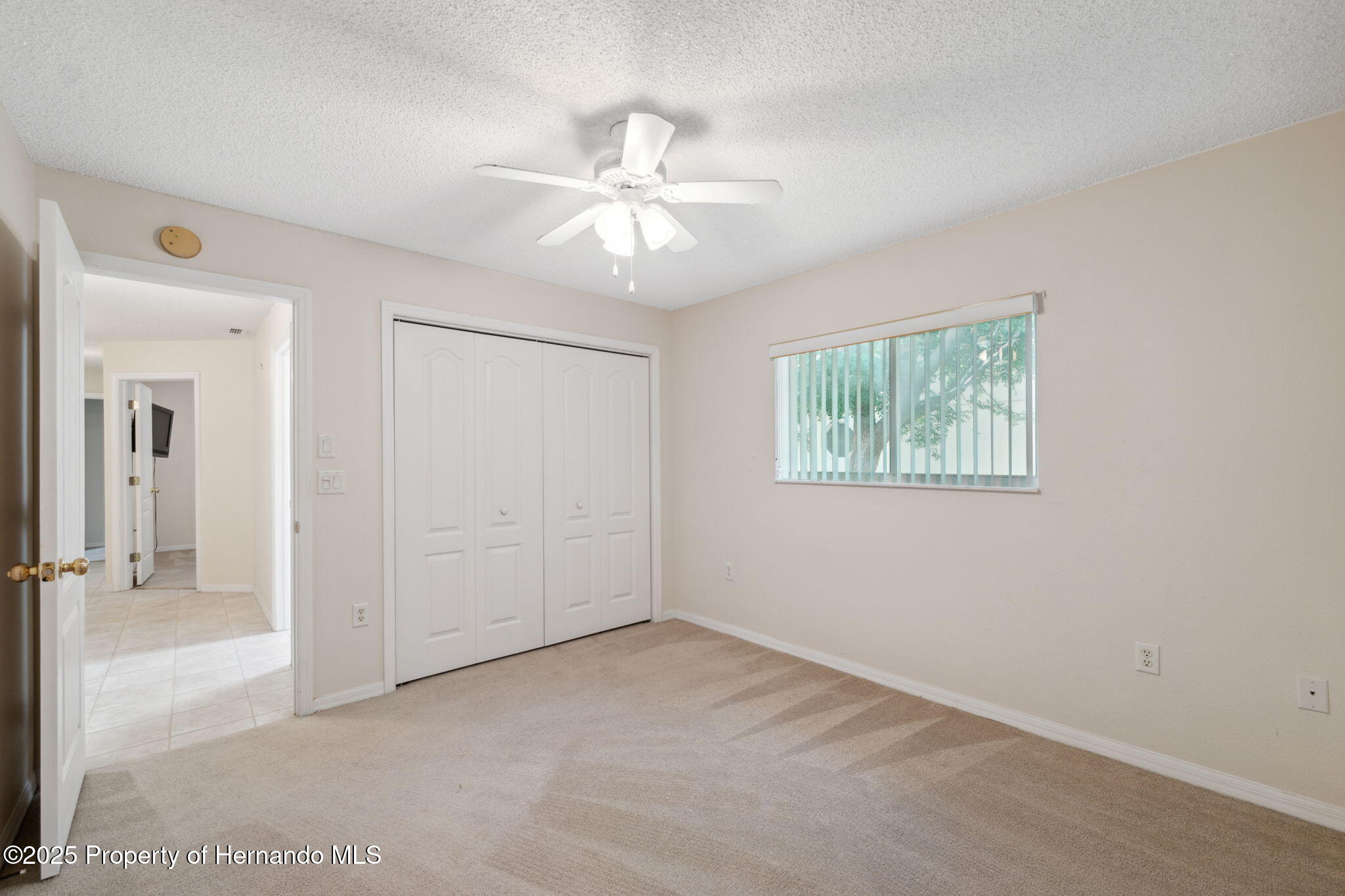 10296 Palmgren Lane, Spring Hill, Florida image 29