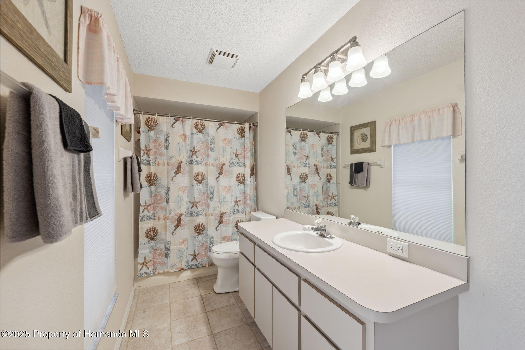 10296 Palmgren Lane, Spring Hill, Florida image 35