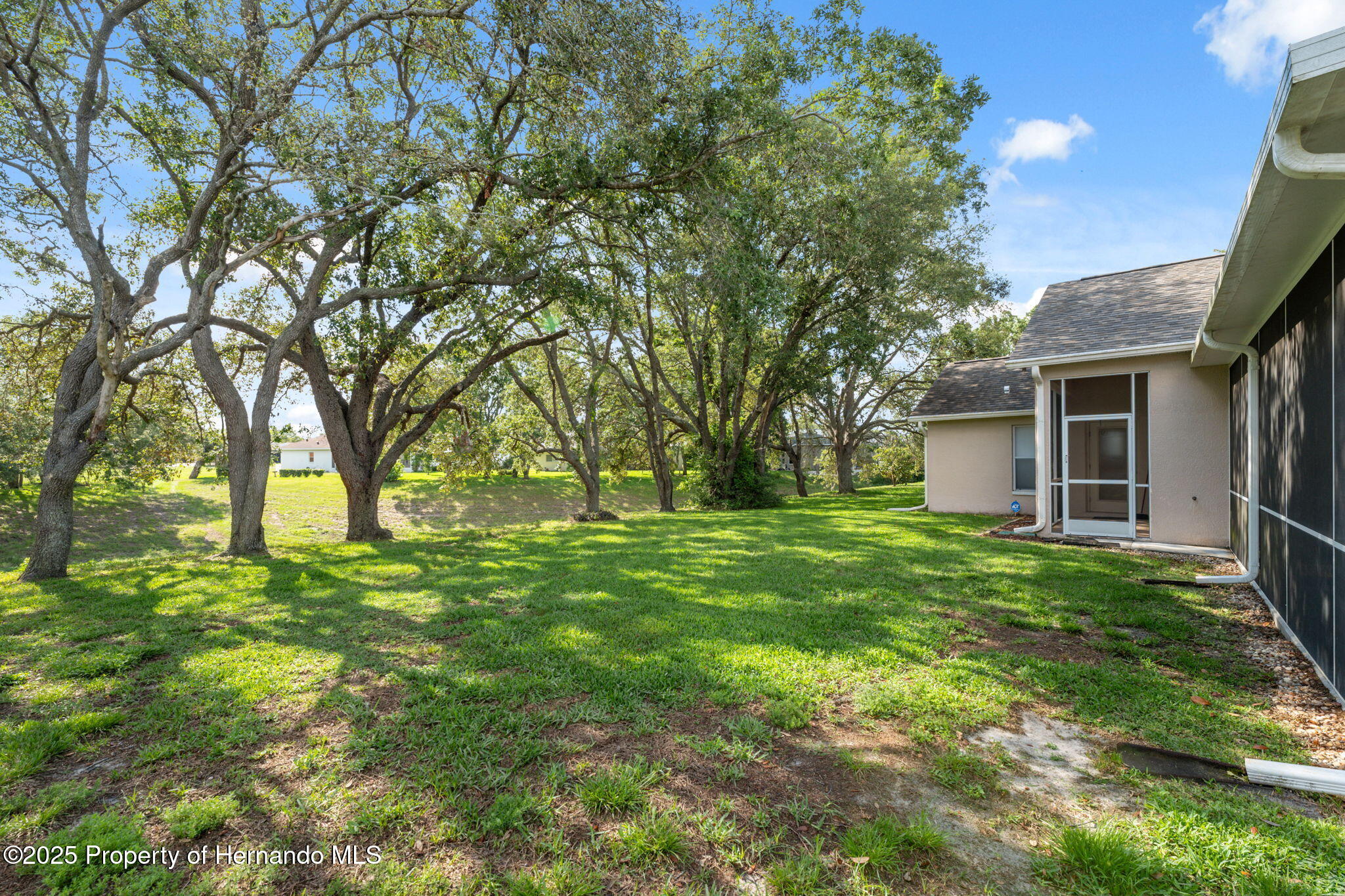 10296 Palmgren Lane, Spring Hill, Florida image 45
