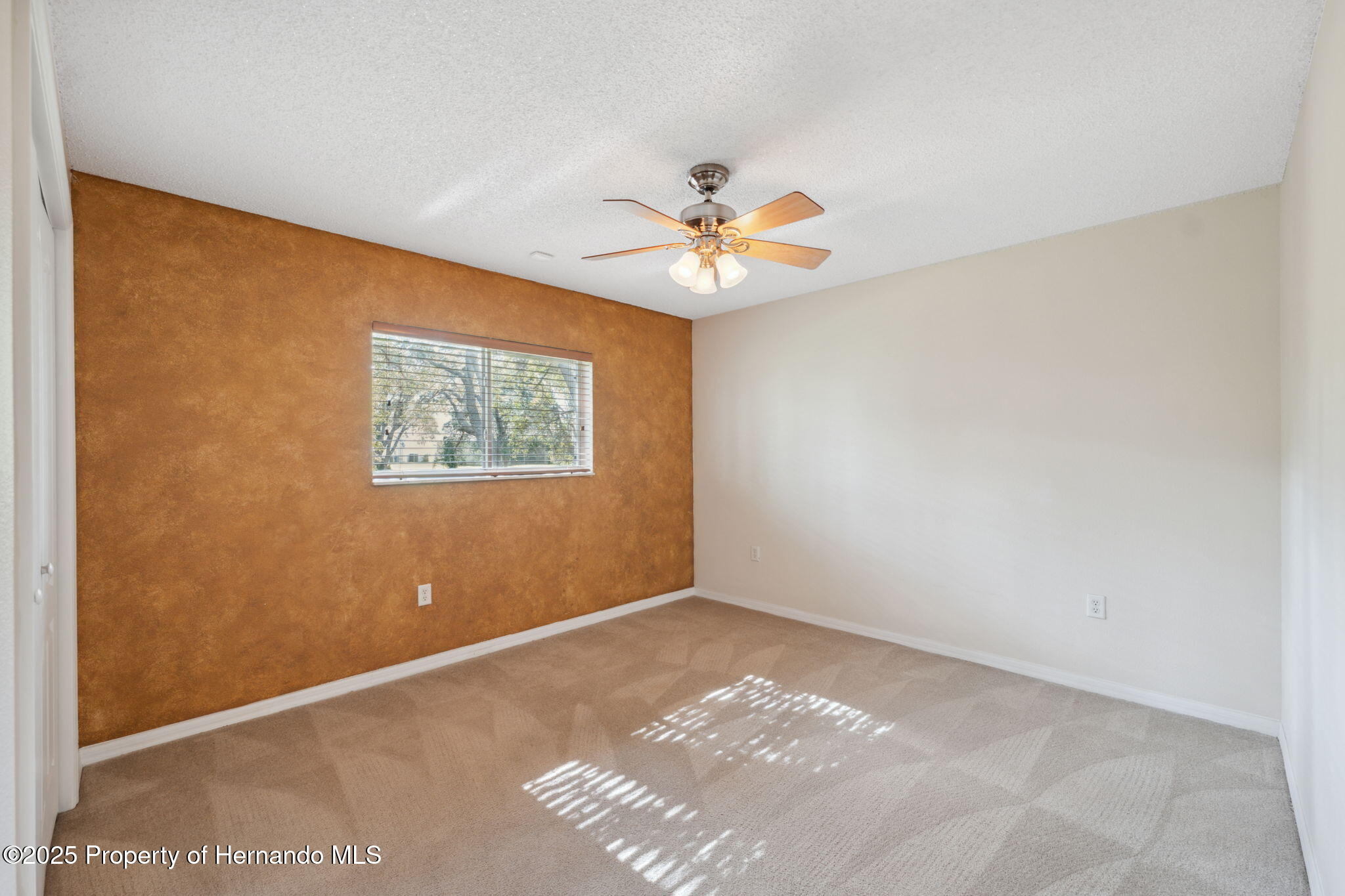 10296 Palmgren Lane, Spring Hill, Florida image 36
